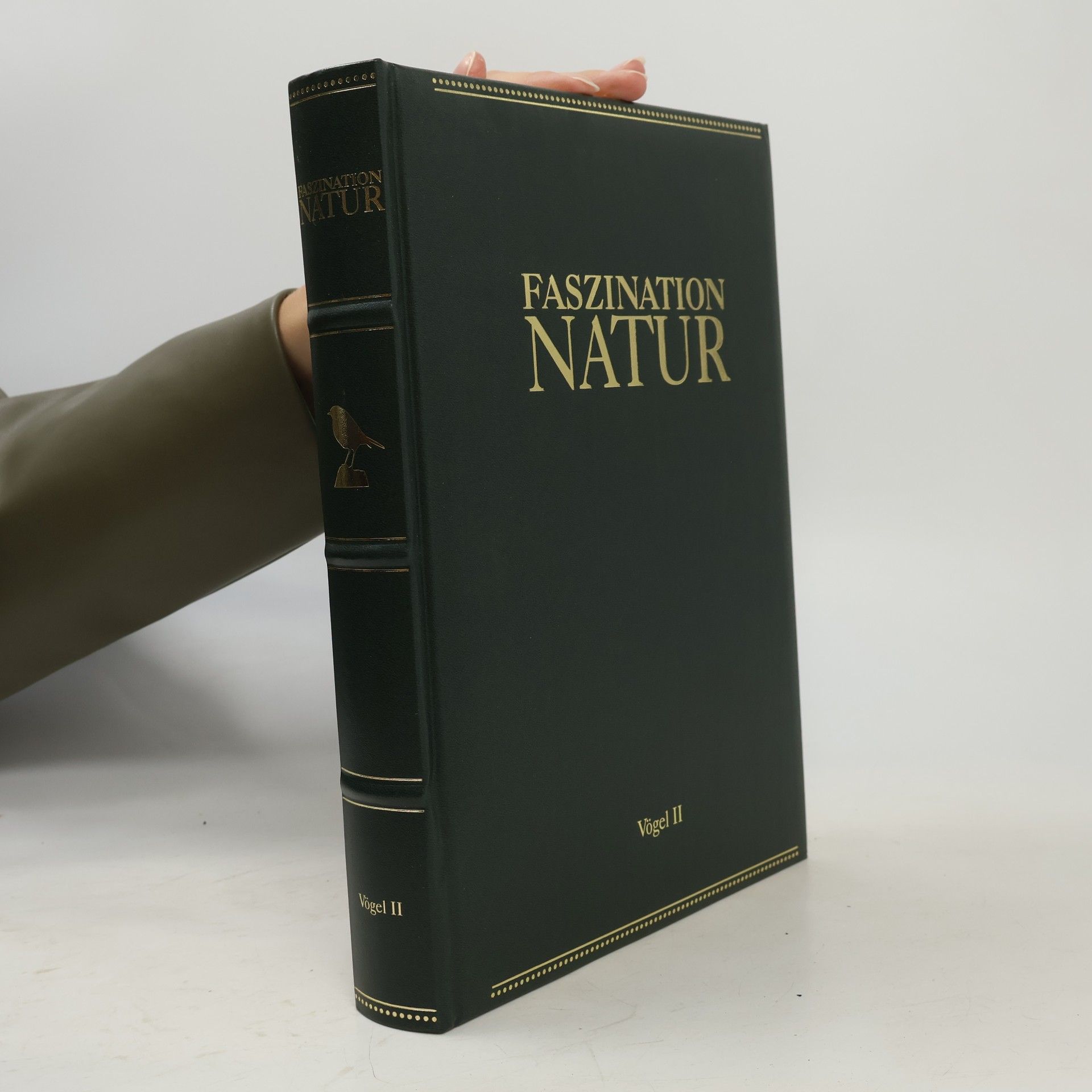 Autorenkollektiv Faszination Natur. Vögel II.