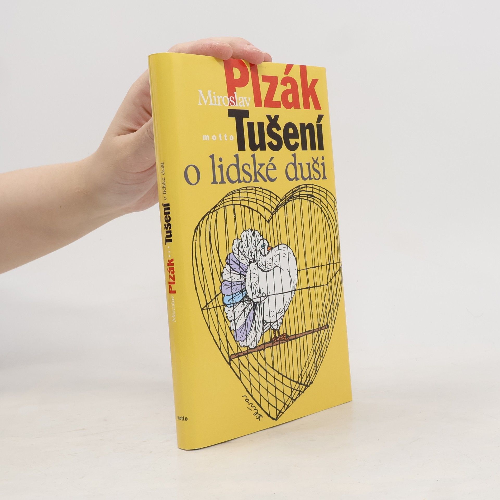 Miroslav Plzák Tušení o lidské duši
