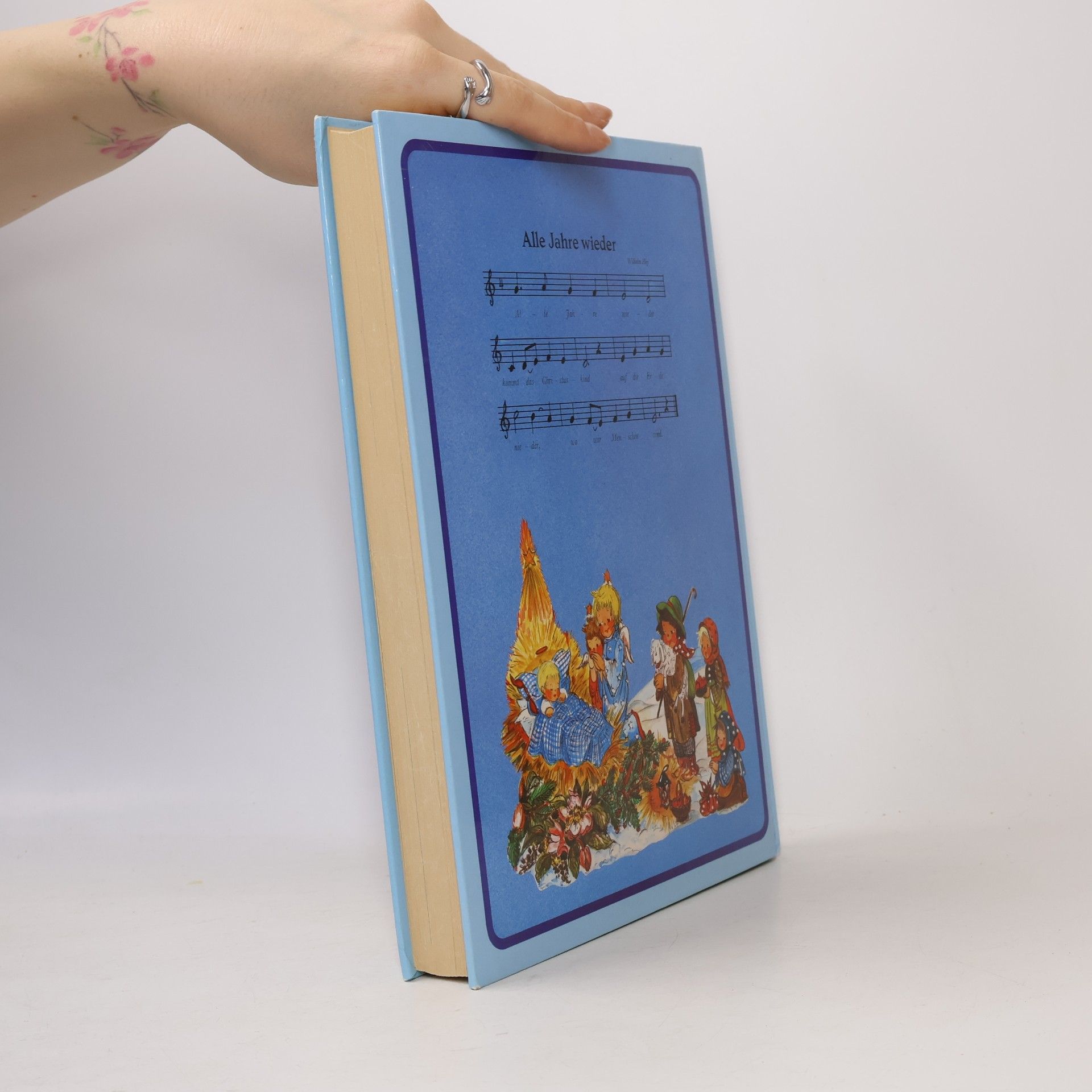 Autorenkollektiv Unser großes Weihnachts-Buch