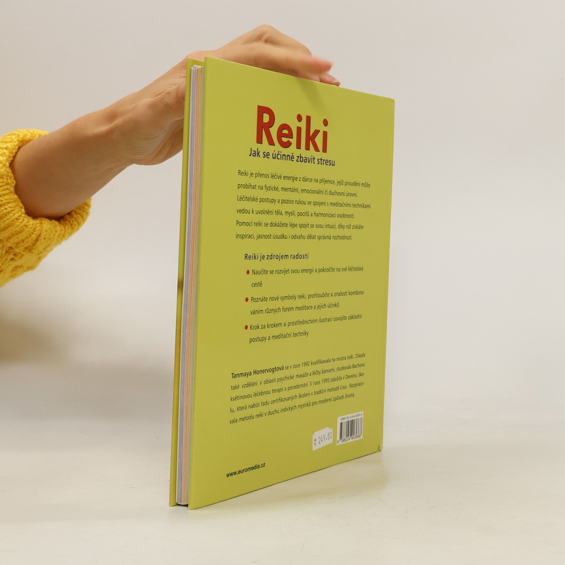 Tanmaya Honervogt Reiki. Průvodce léčbou a meditací