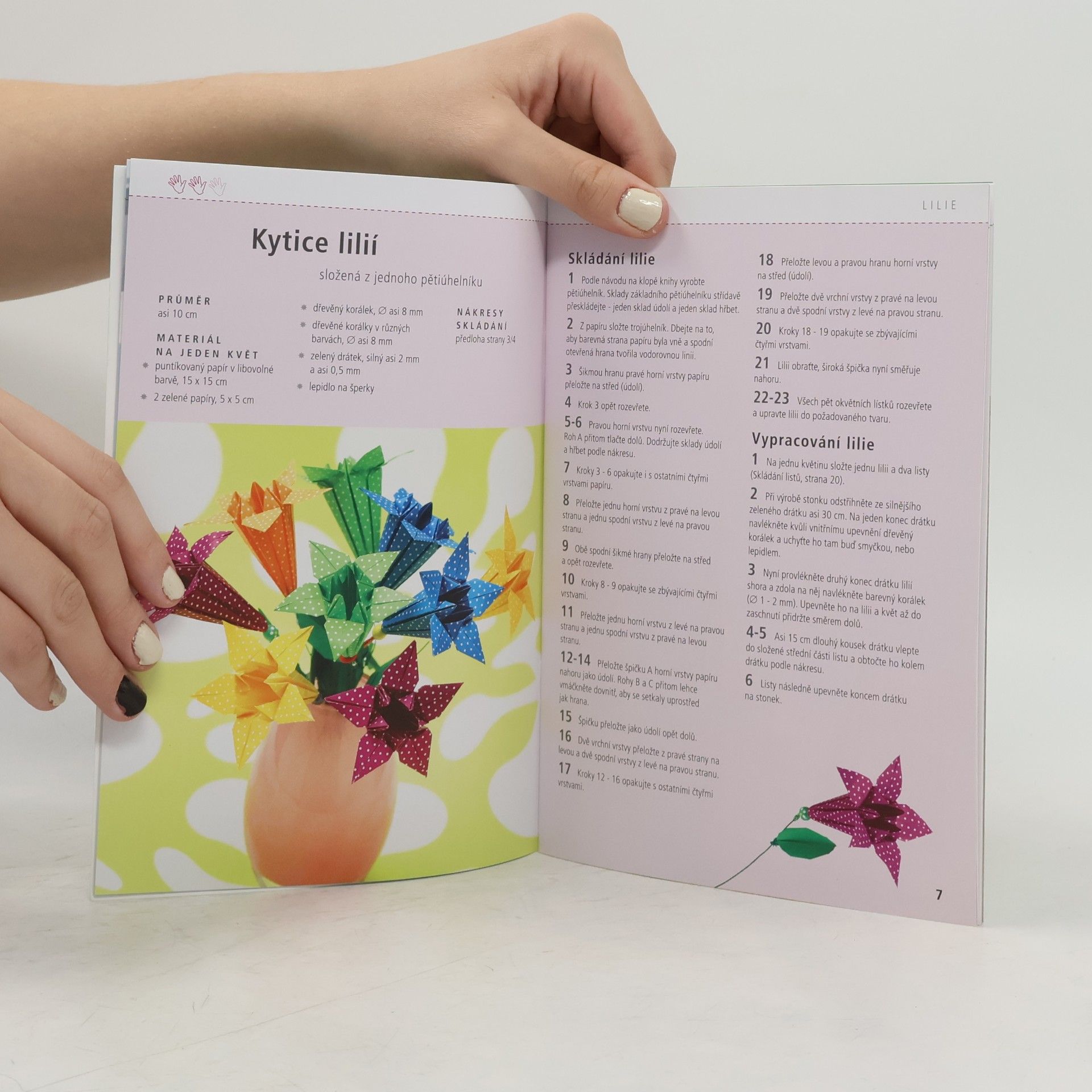 Various authors Fascinující origami květy