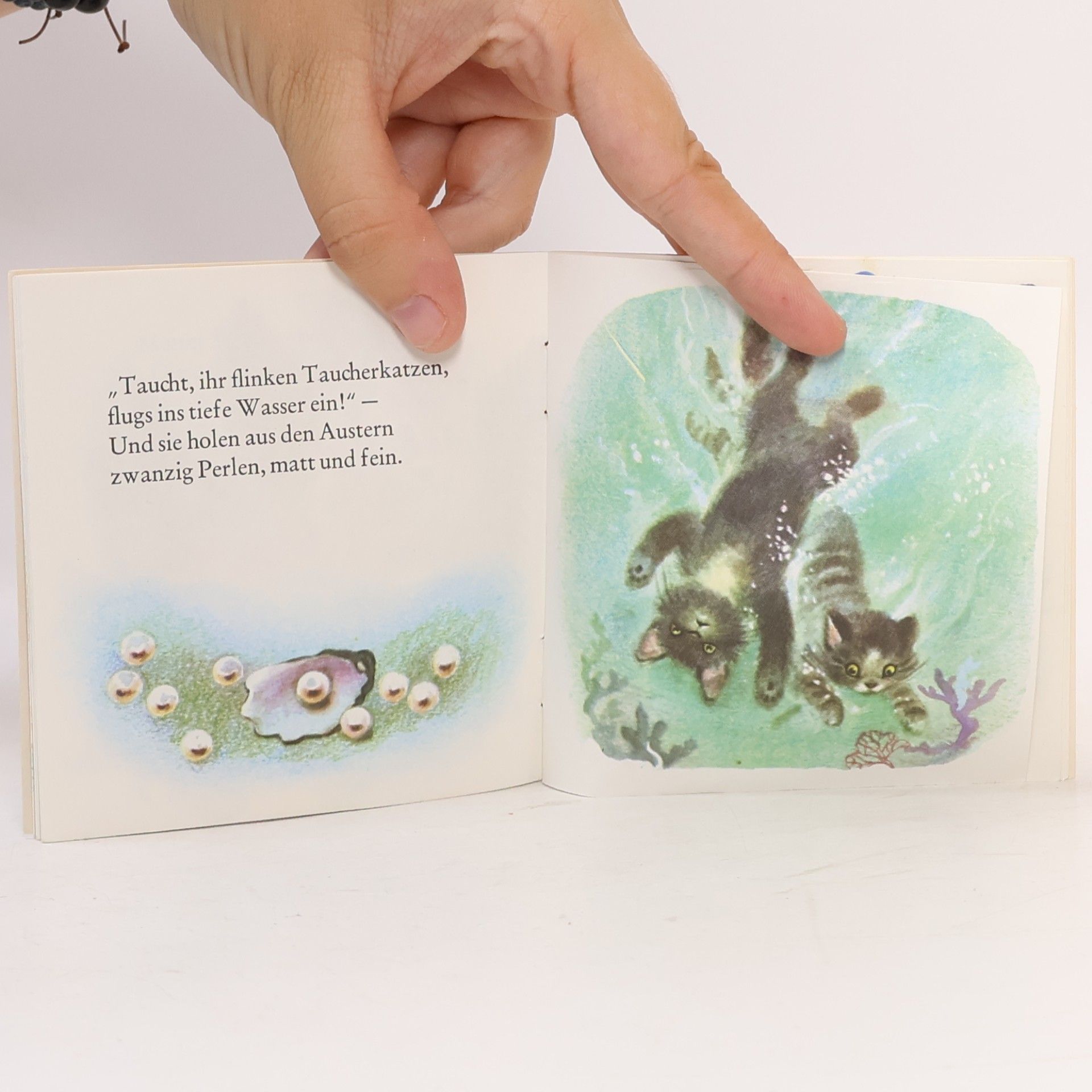 Autorenkollektiv Kapitän Kater