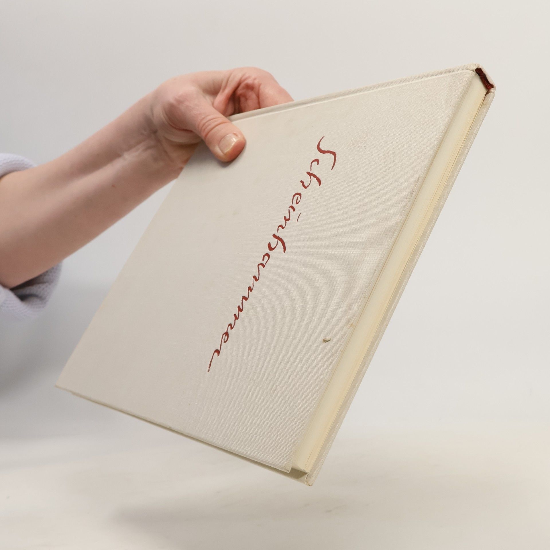 Arnold Mardersteig Der Maler Otto Scheinhammer