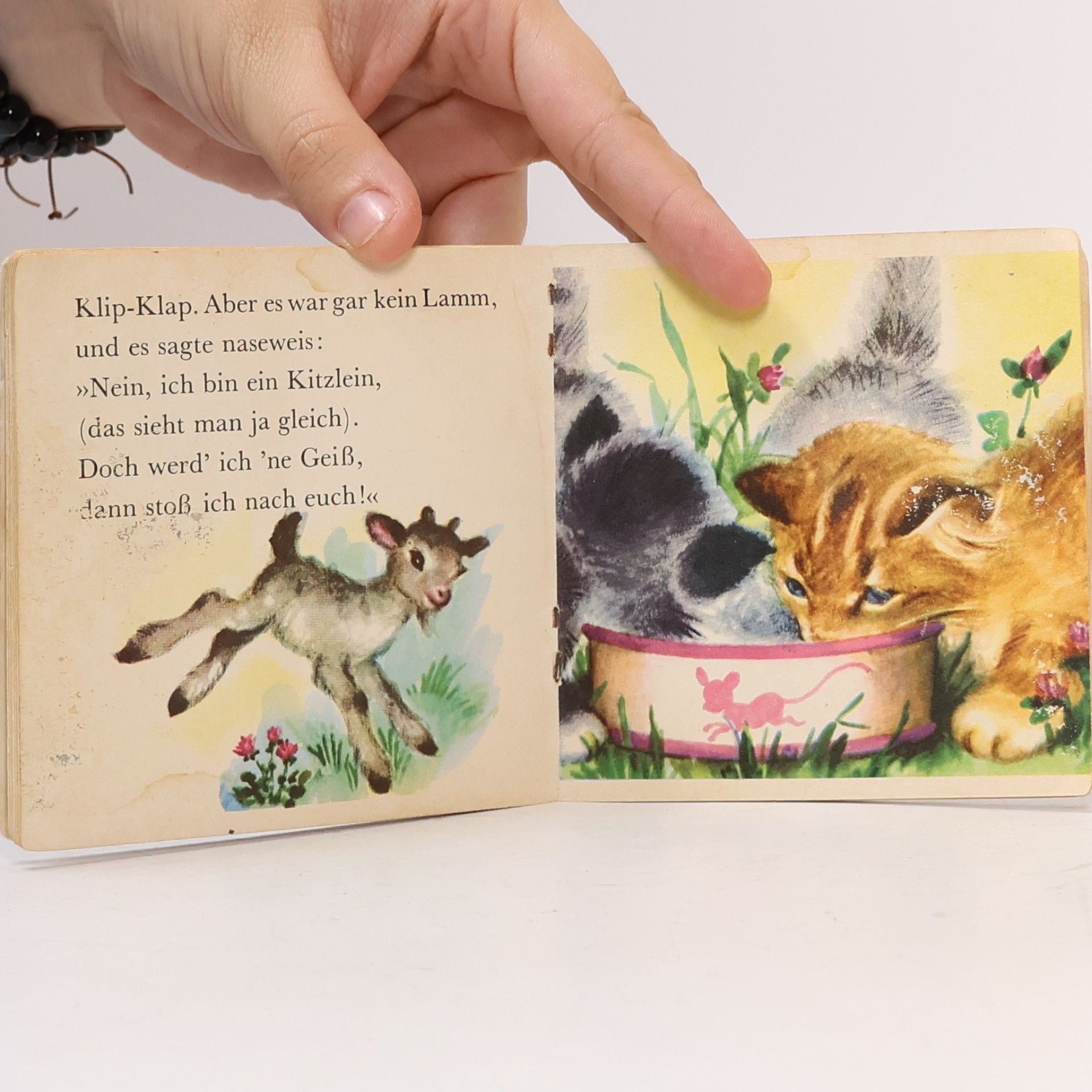 Edith Lowe Klip-Klap und die Tiere