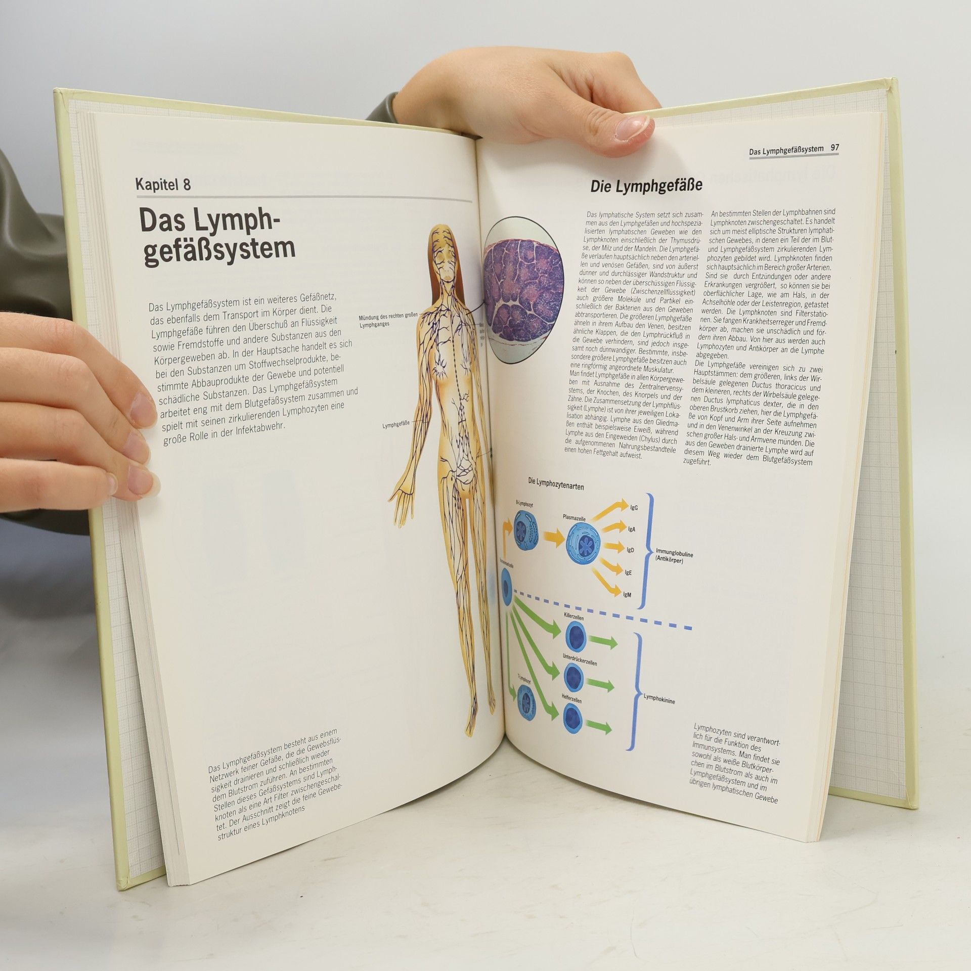 Joachim Lauen Der grosse Atlas der Anatomie
