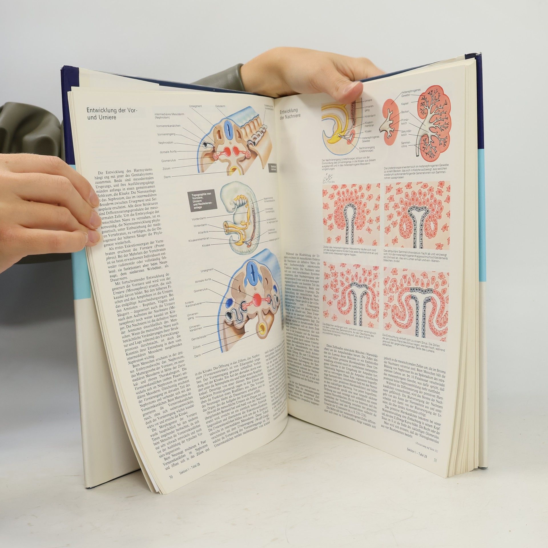 Eckehard Renner Farbatlanten der Medizin