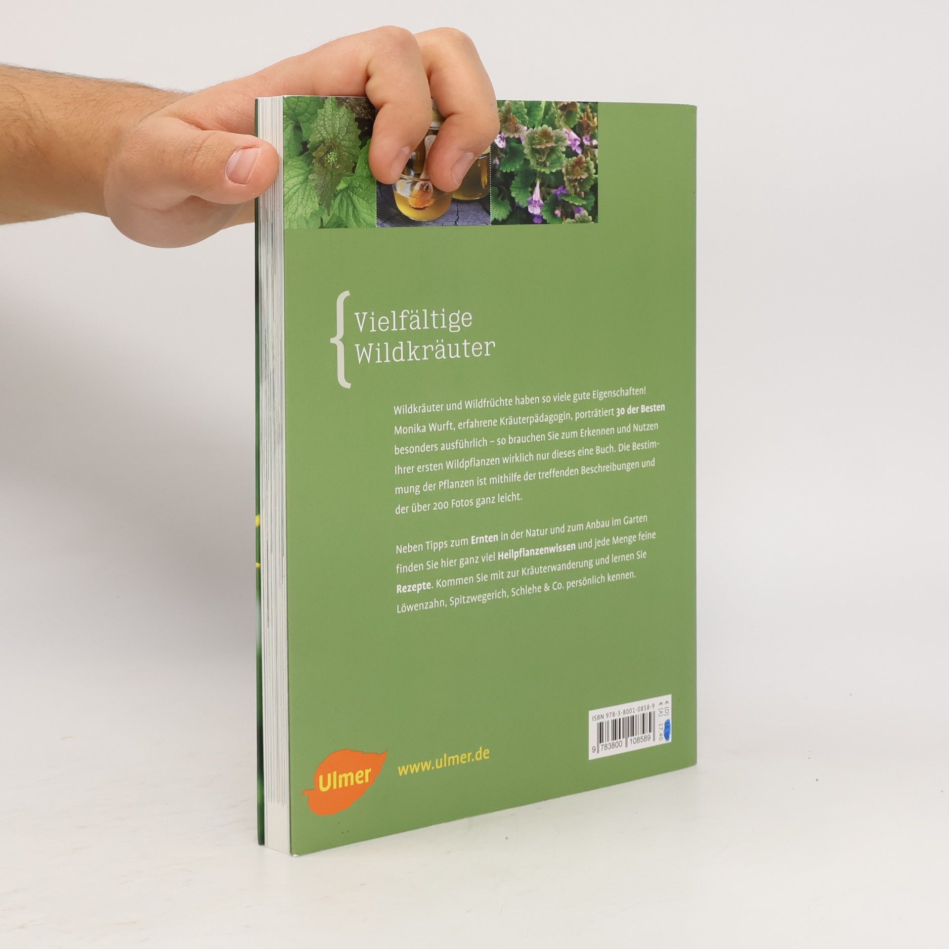 Monika Wurft Mein Wildkräuterbuch