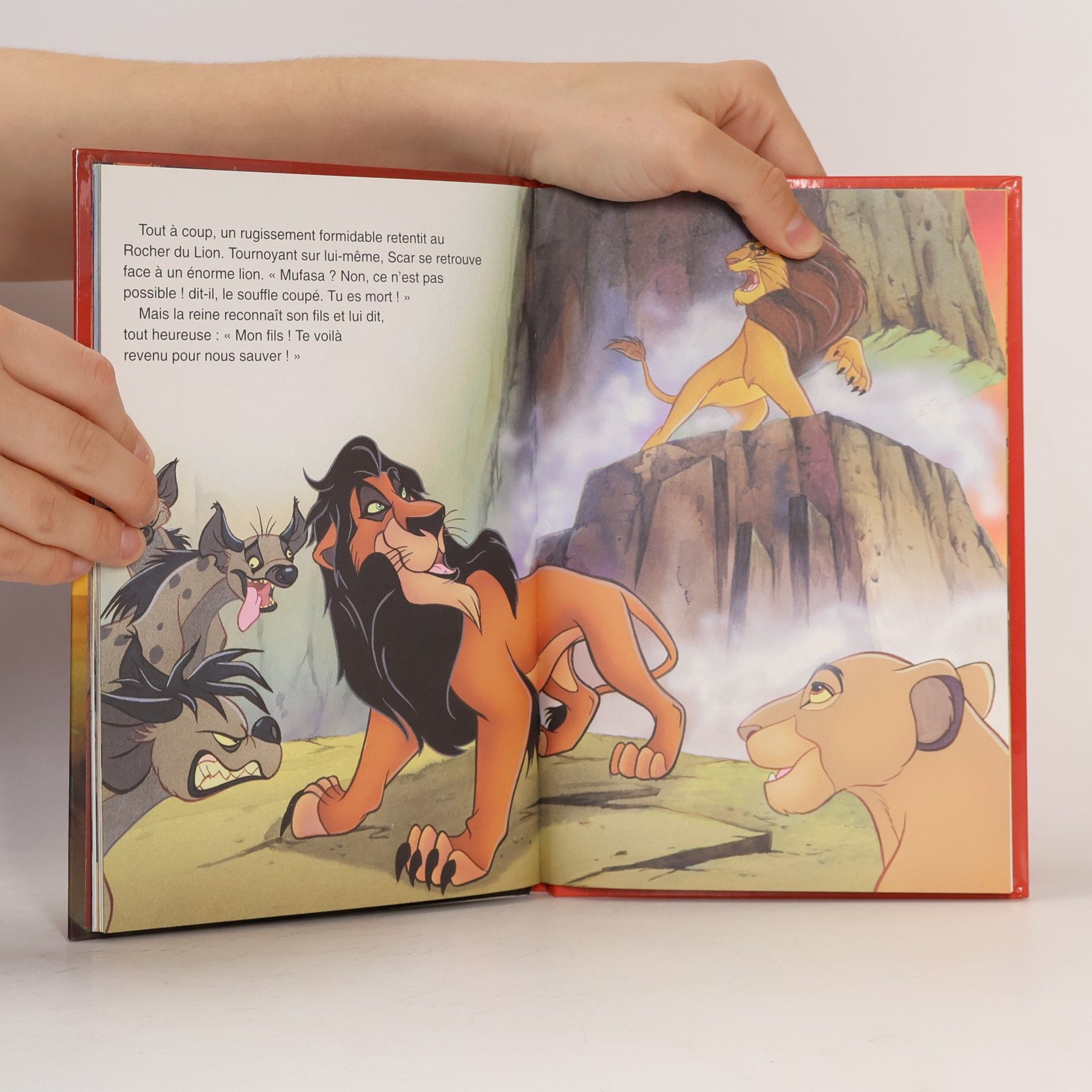 Autorenkollektiv Le Roi Lion