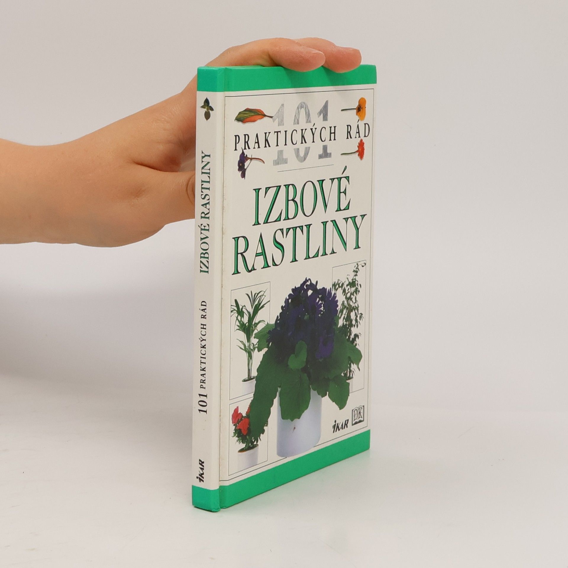 Izbové rastliny