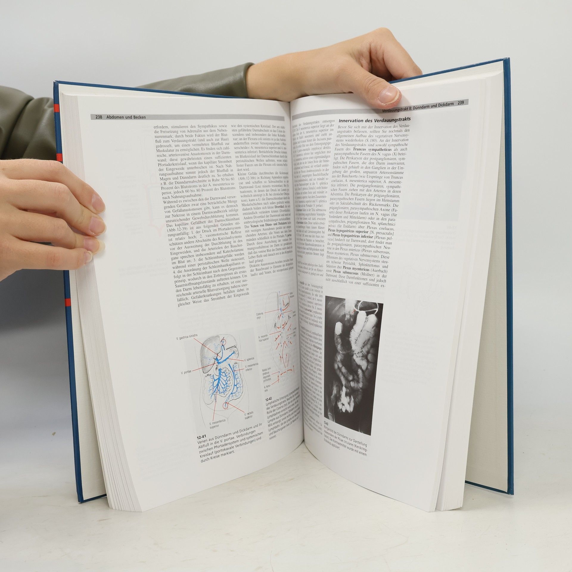 Pamela C. B. MacKinnon Oxford Lehrbuch der klinischen Anatomie