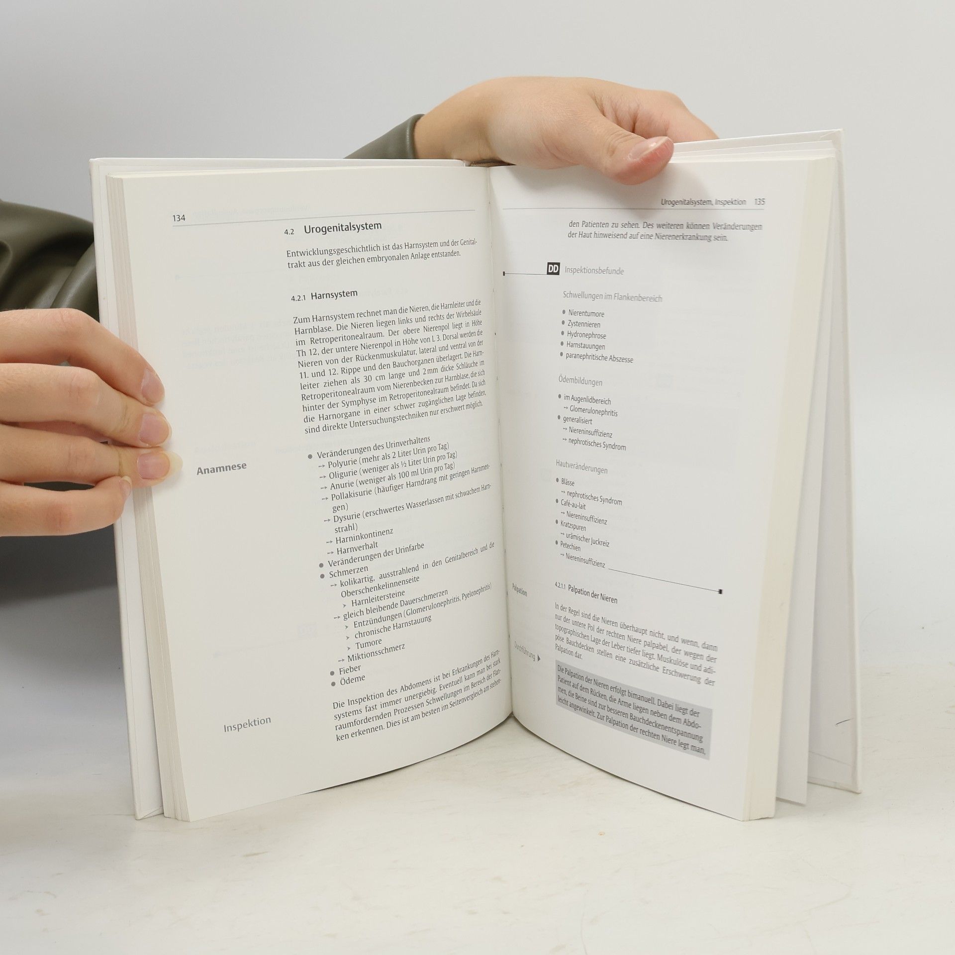 Margit Allmeroth Diagnose-Lehrbuch für Heilpraktiker