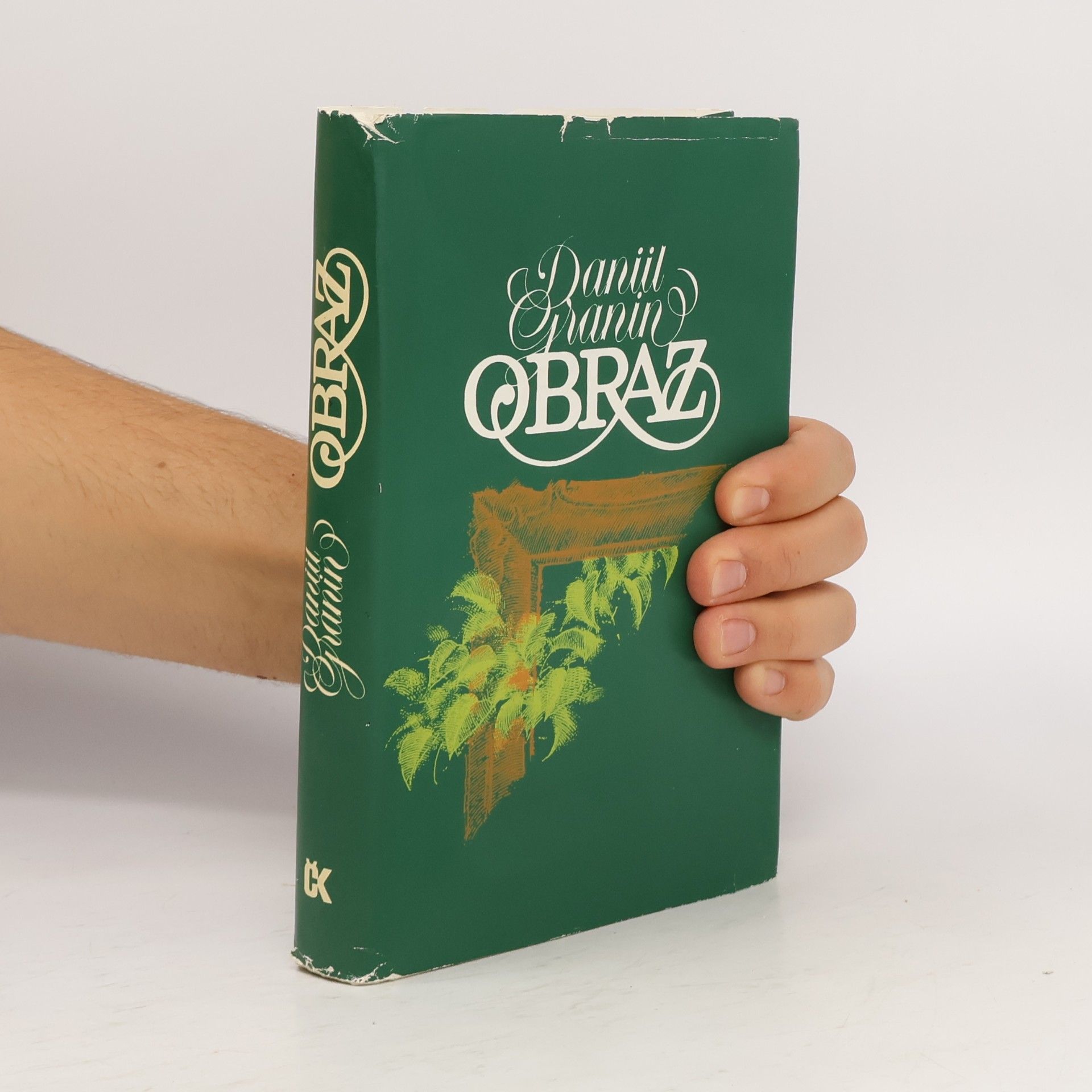 Obraz