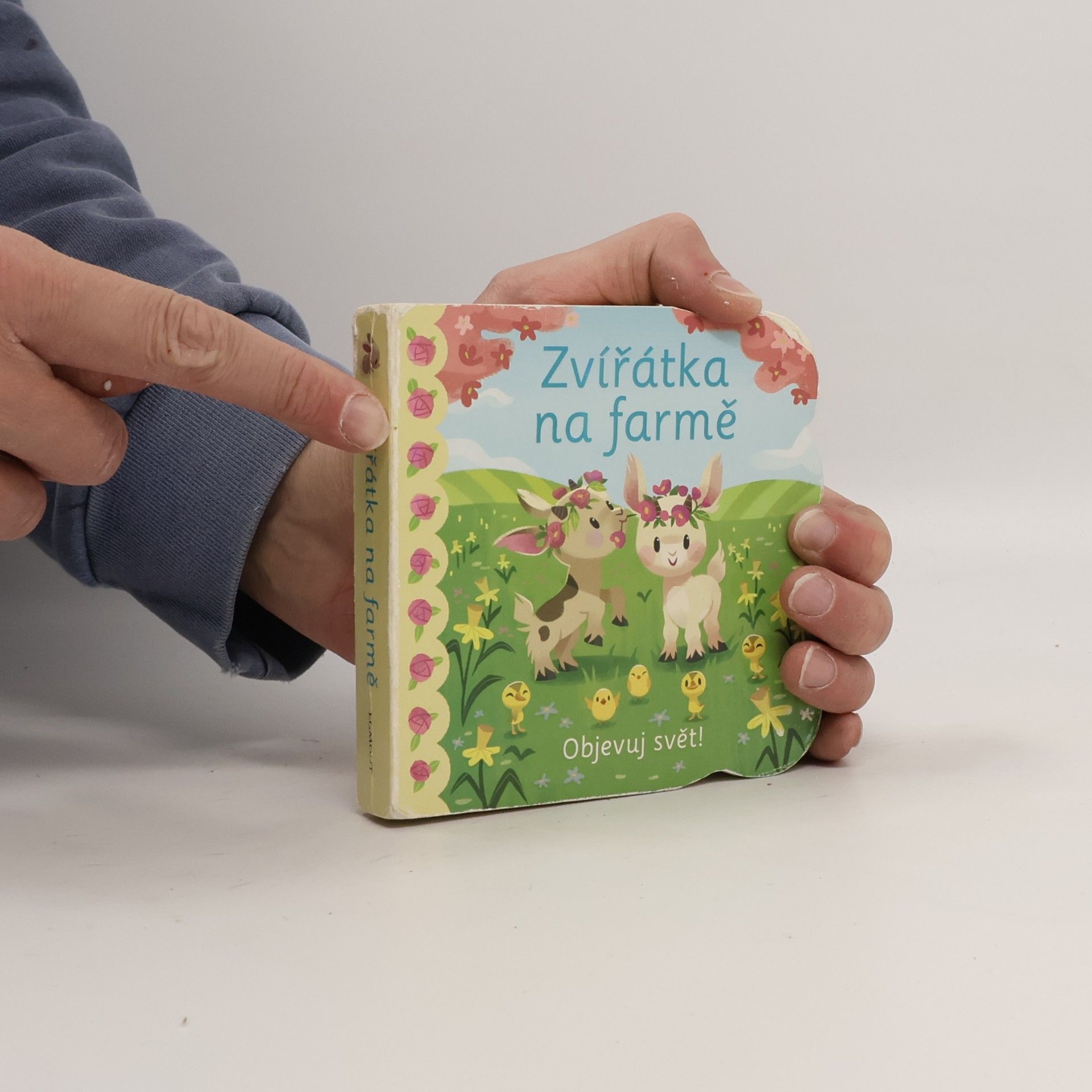 Ginger Swift Zvířátka na farmě : Objevuj svět!