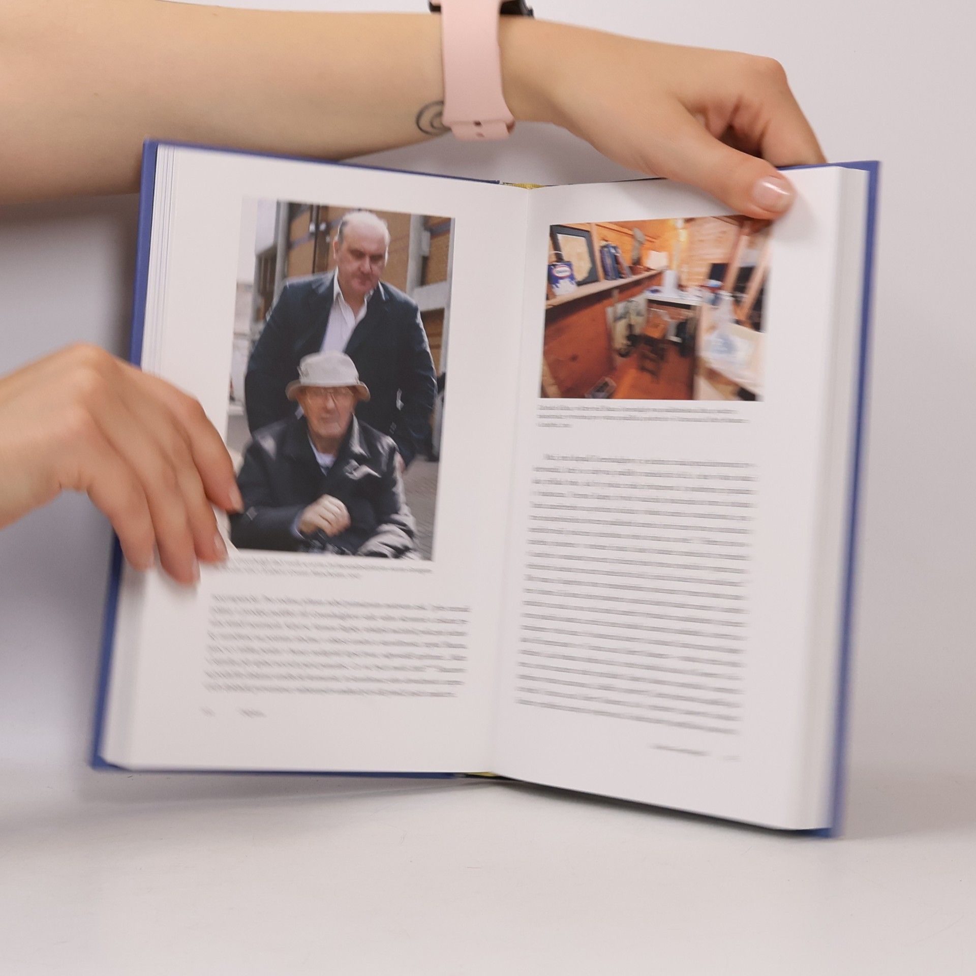 Noah Charney Umění falzifikace: myšlení, motivy a metody padělatelských mistrů