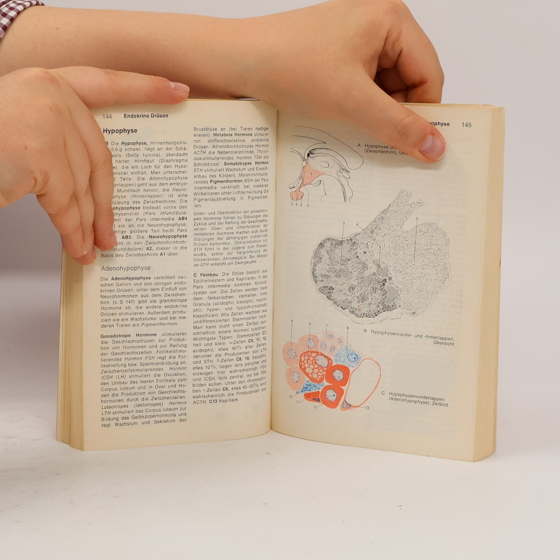 Werner Platzer Taschenatlas der Anatomie : für Studium und Praxis. Band 2, Innere Organe