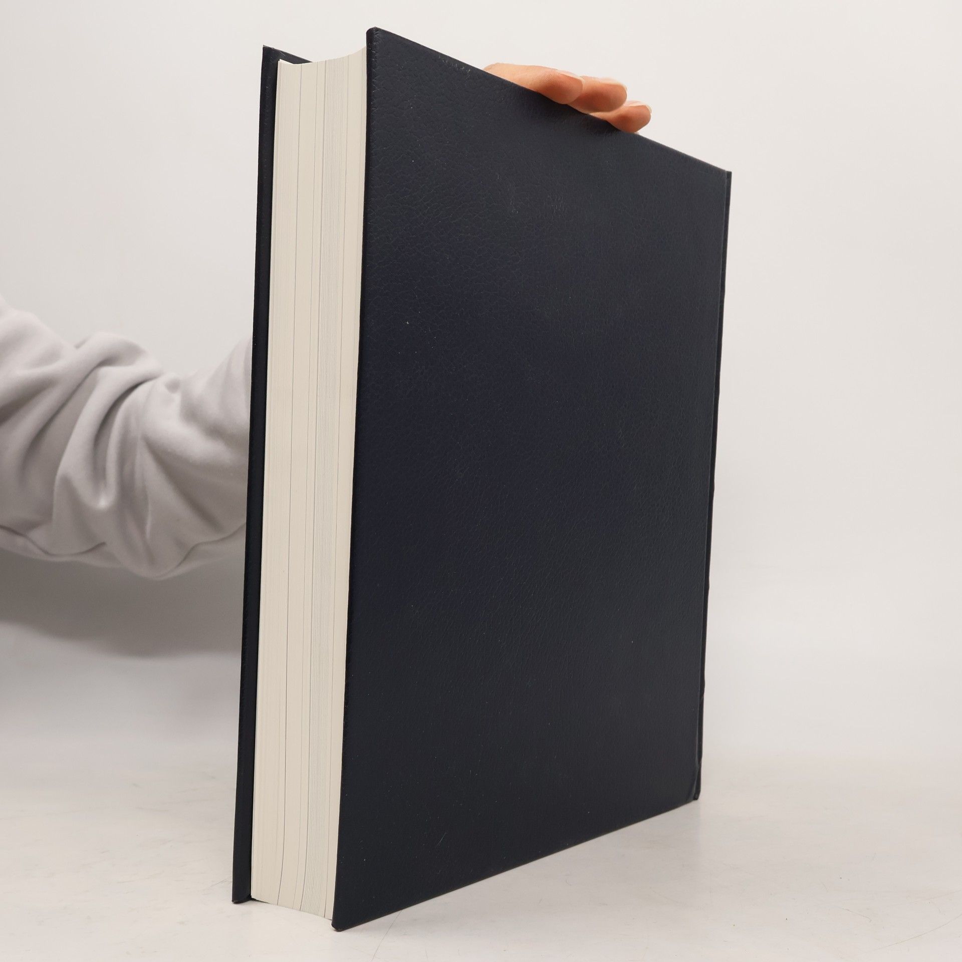 Thomas Flemming Chronik-Bibliothek des 20. Jahrhunderts 15