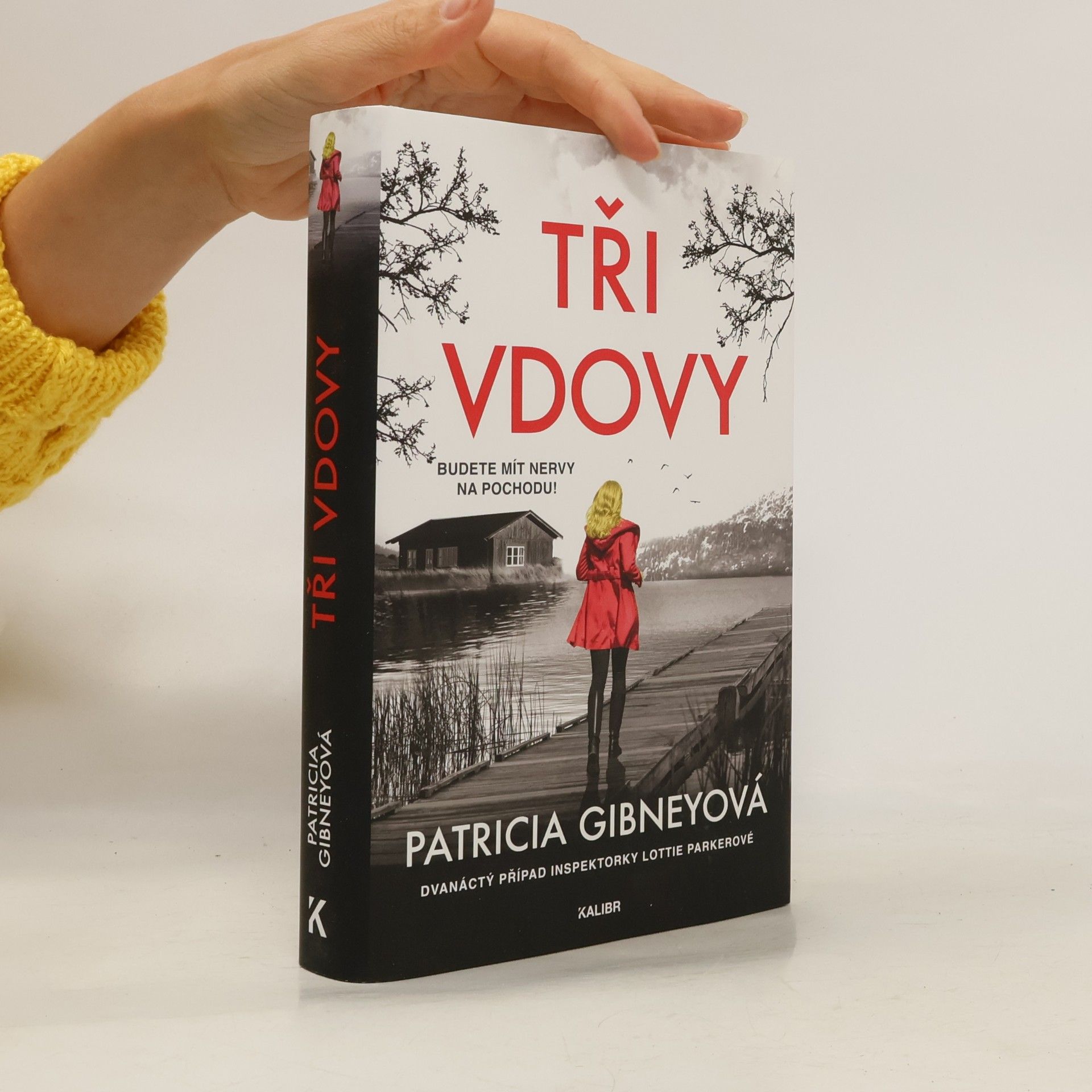 Patricia Gibney Tři vdovy