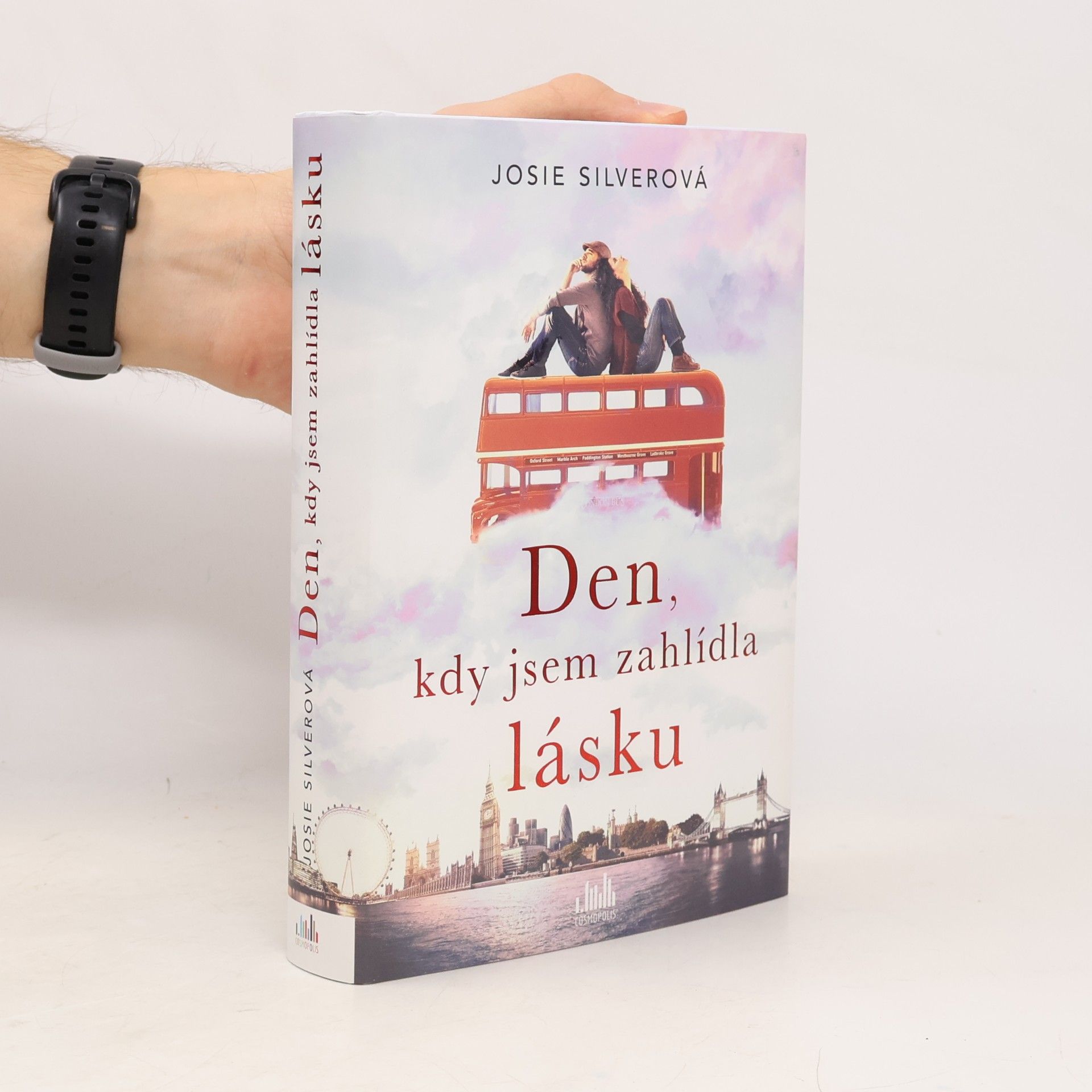 Josie Silver Den, kdy jsem zahlídla lásku