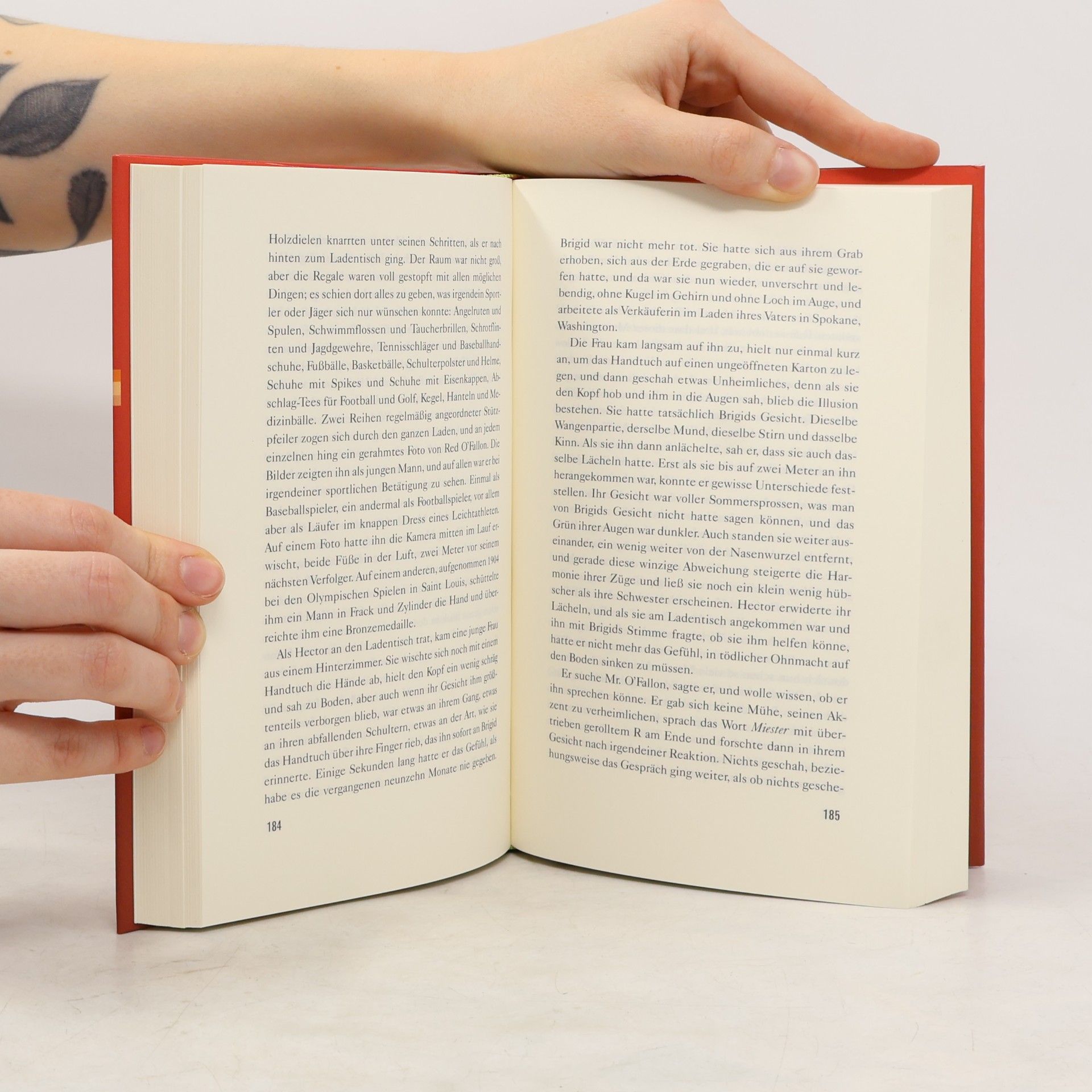 Paul Auster Das Buch der Illusionen