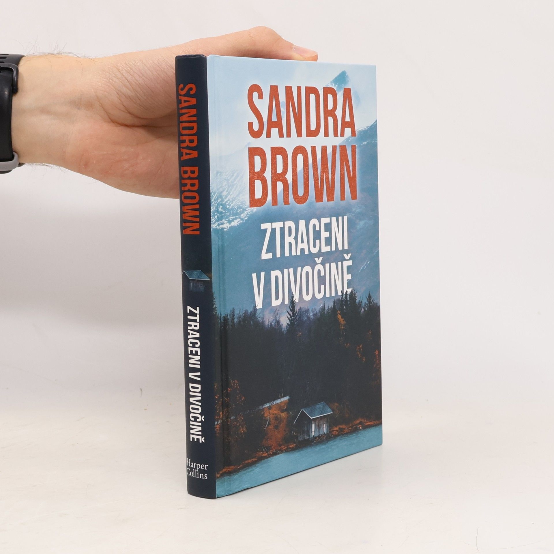 Sandra Brown Ztraceni v divočině
