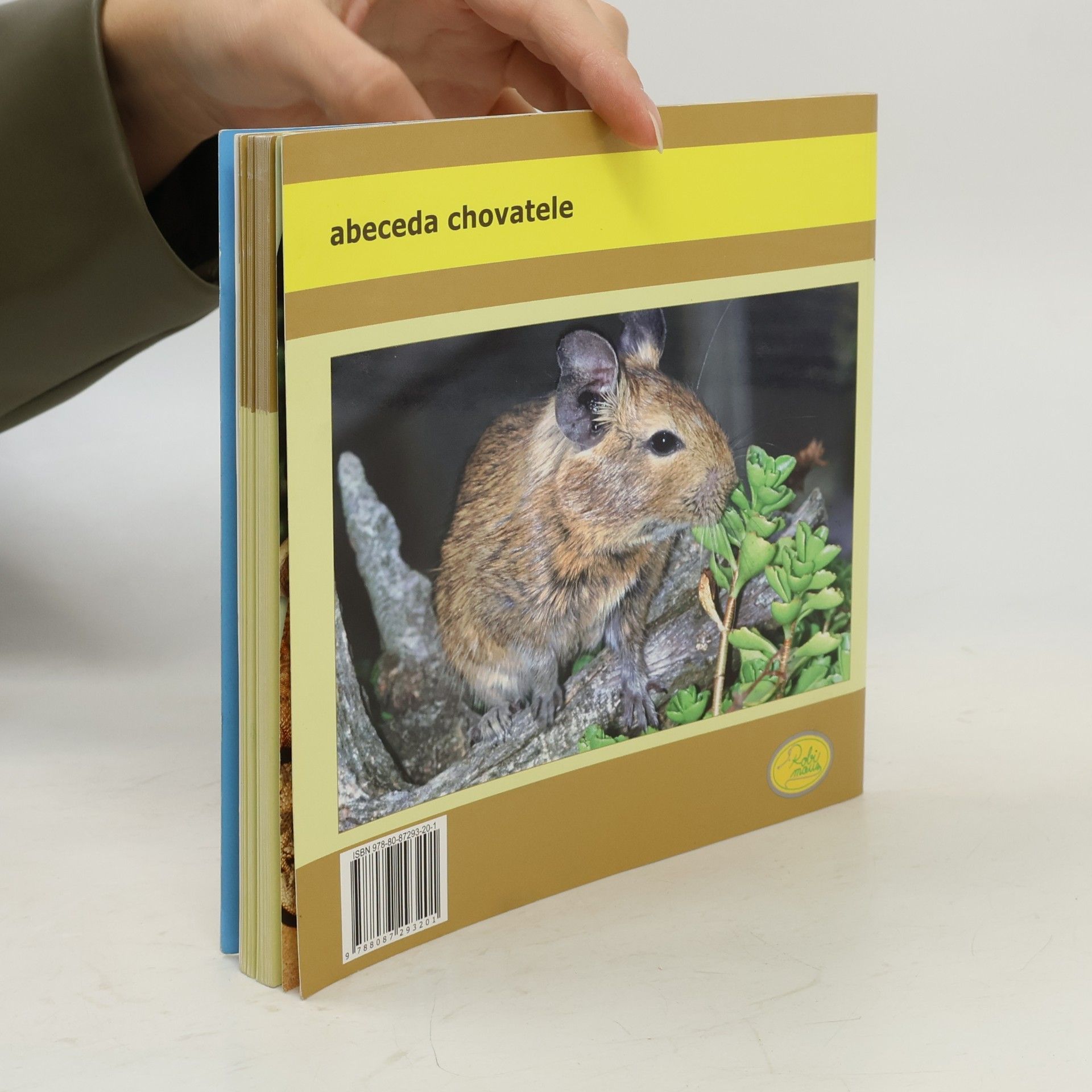 Hana Motyčková Osmák degu