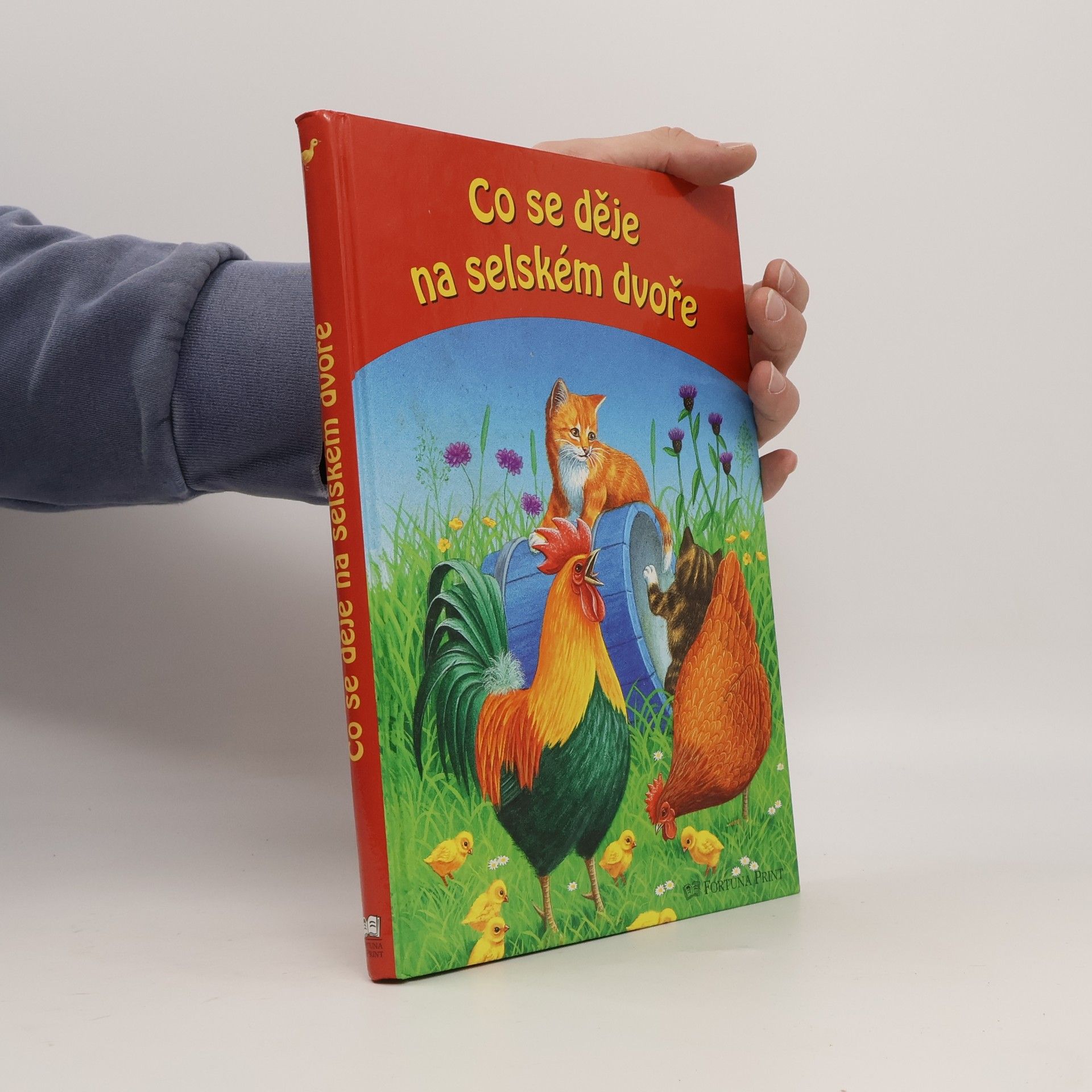 Kolektiv autorů Co se děje na selském dvoře