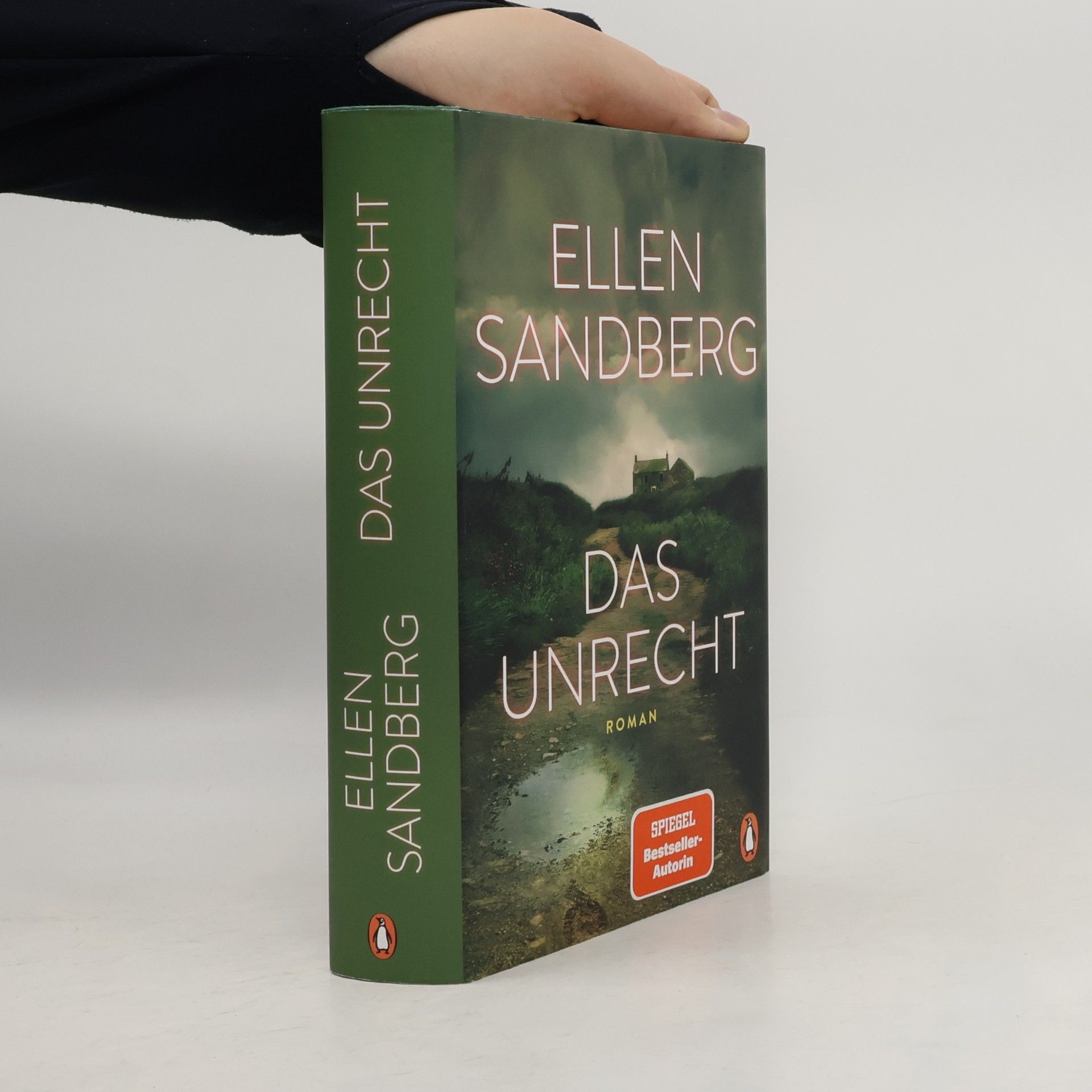 Ellen Sandberg Das Unrecht