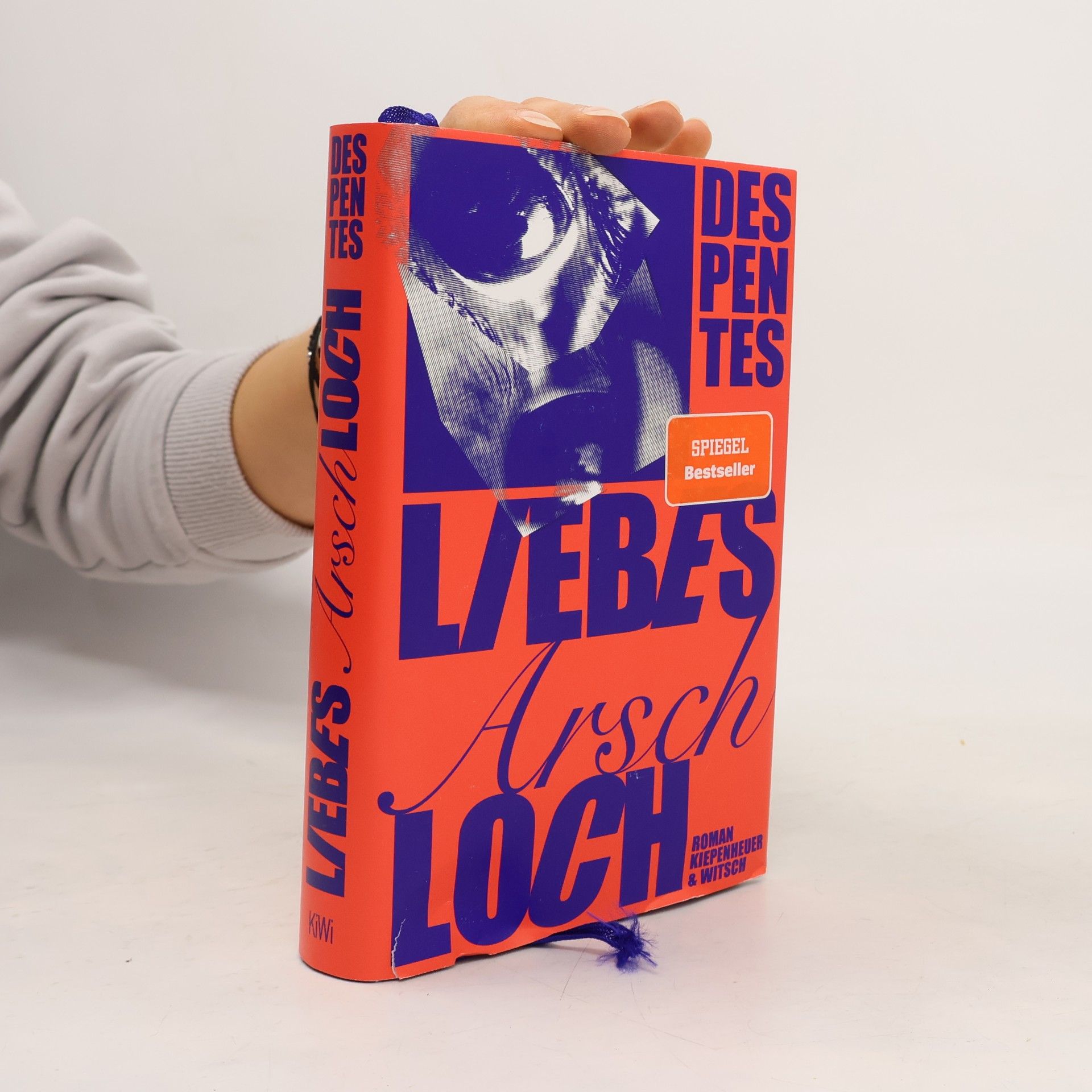 Virginie Despentes Liebes Arschloch