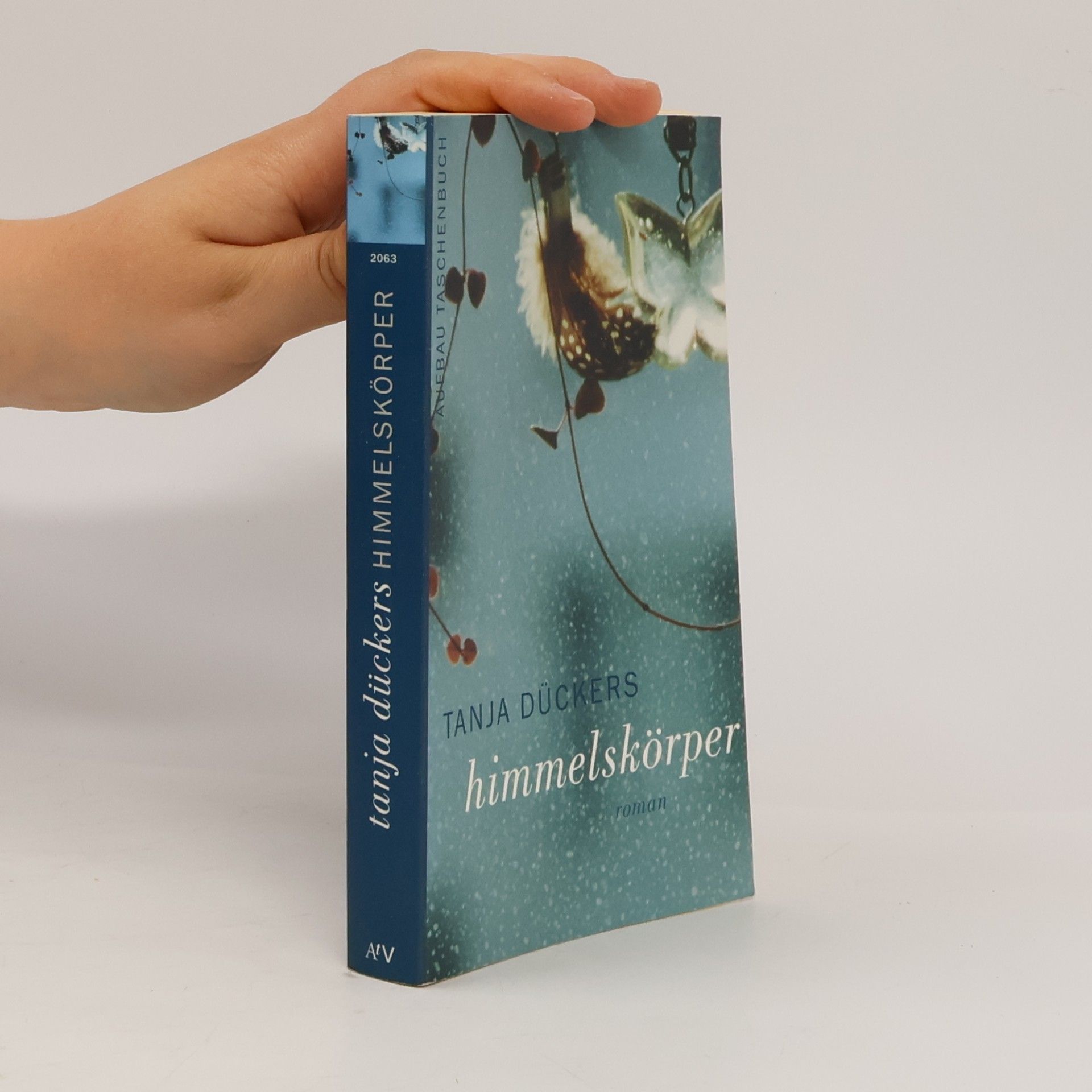 Tanja Dückers Himmelskörper