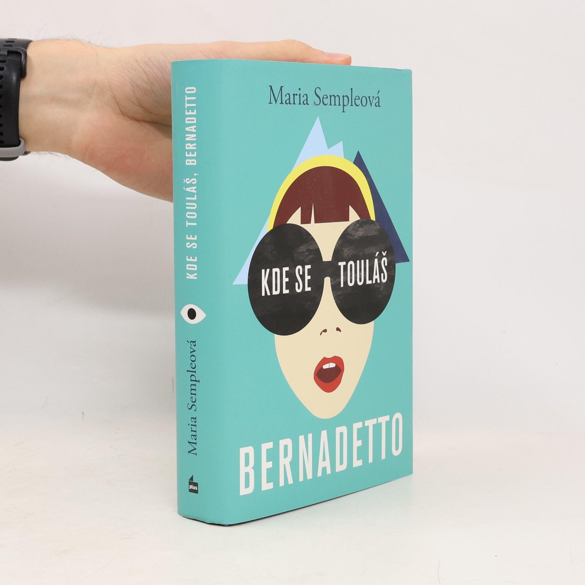 Maria Semple Kde se touláš, Bernadetto