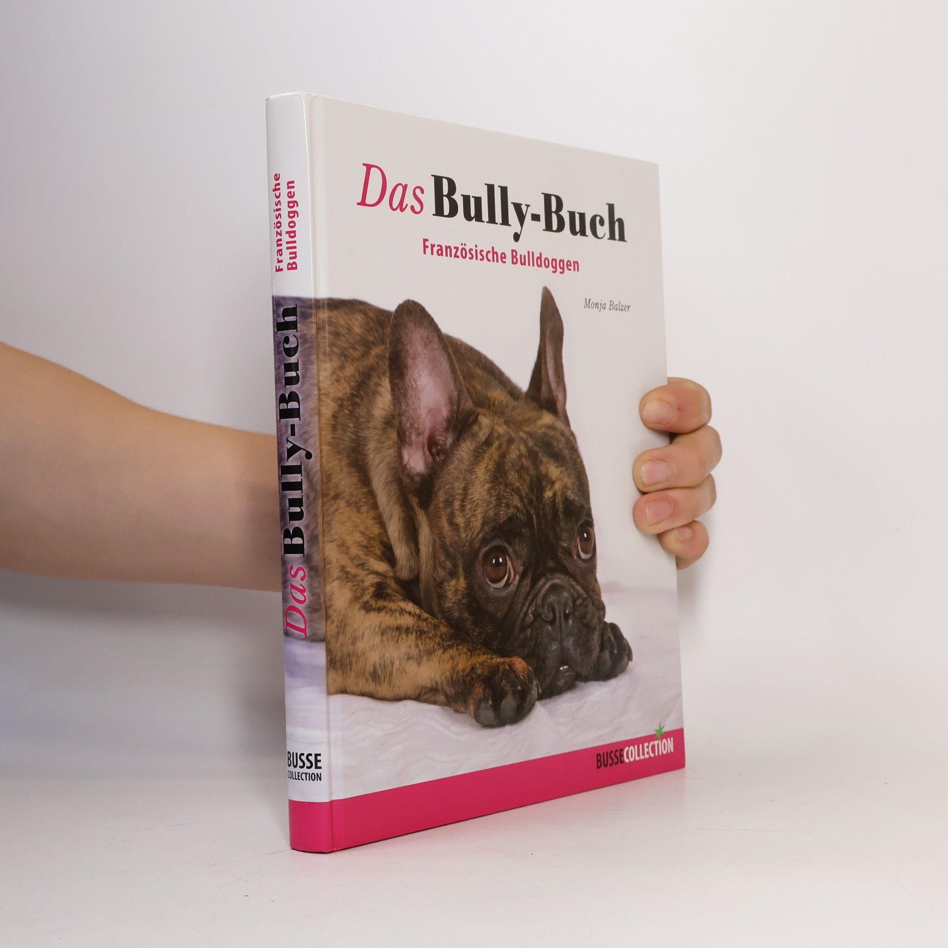 Monja Balzer Das Bully-Buch