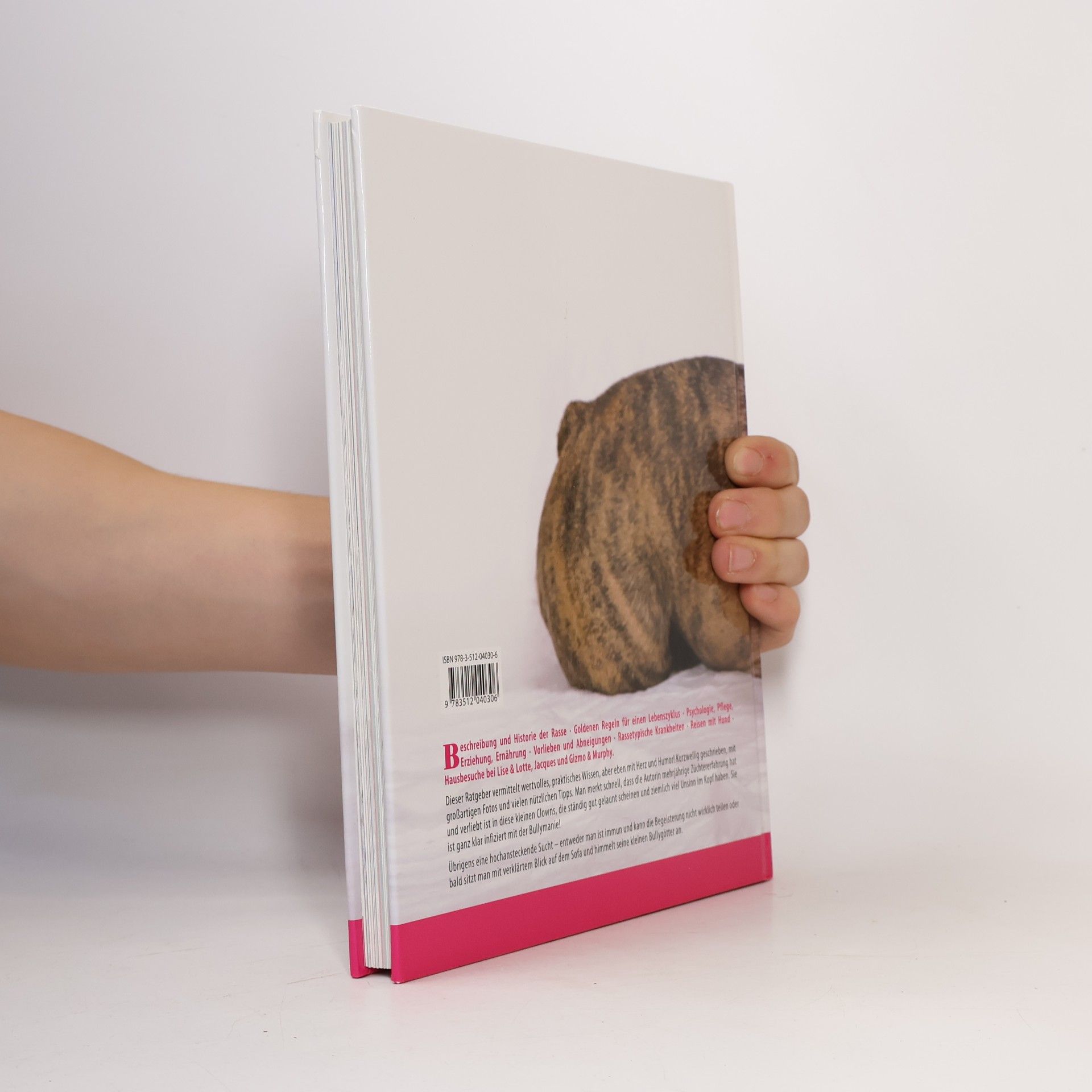 Monja Balzer Das Bully-Buch