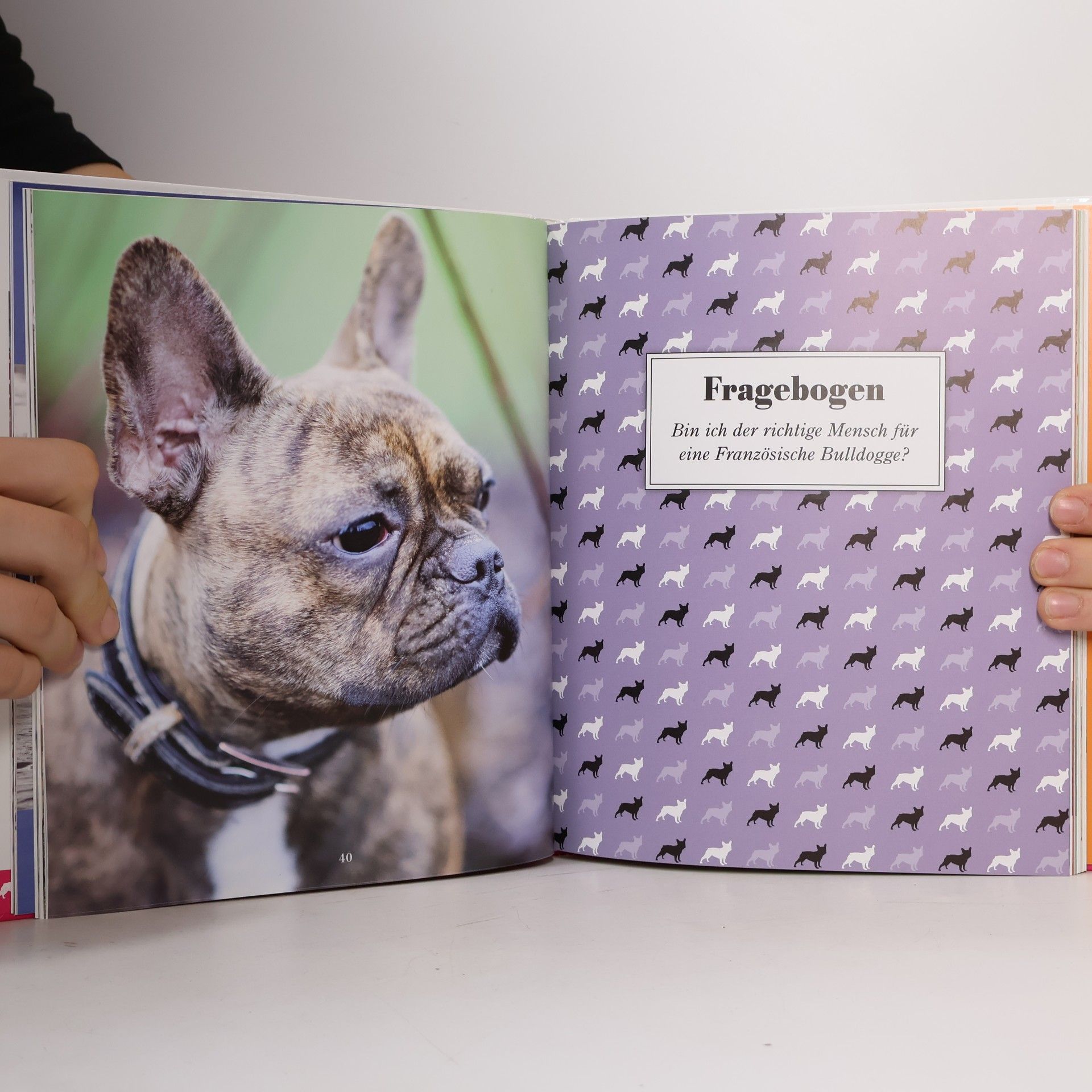 Monja Balzer Das Bully-Buch