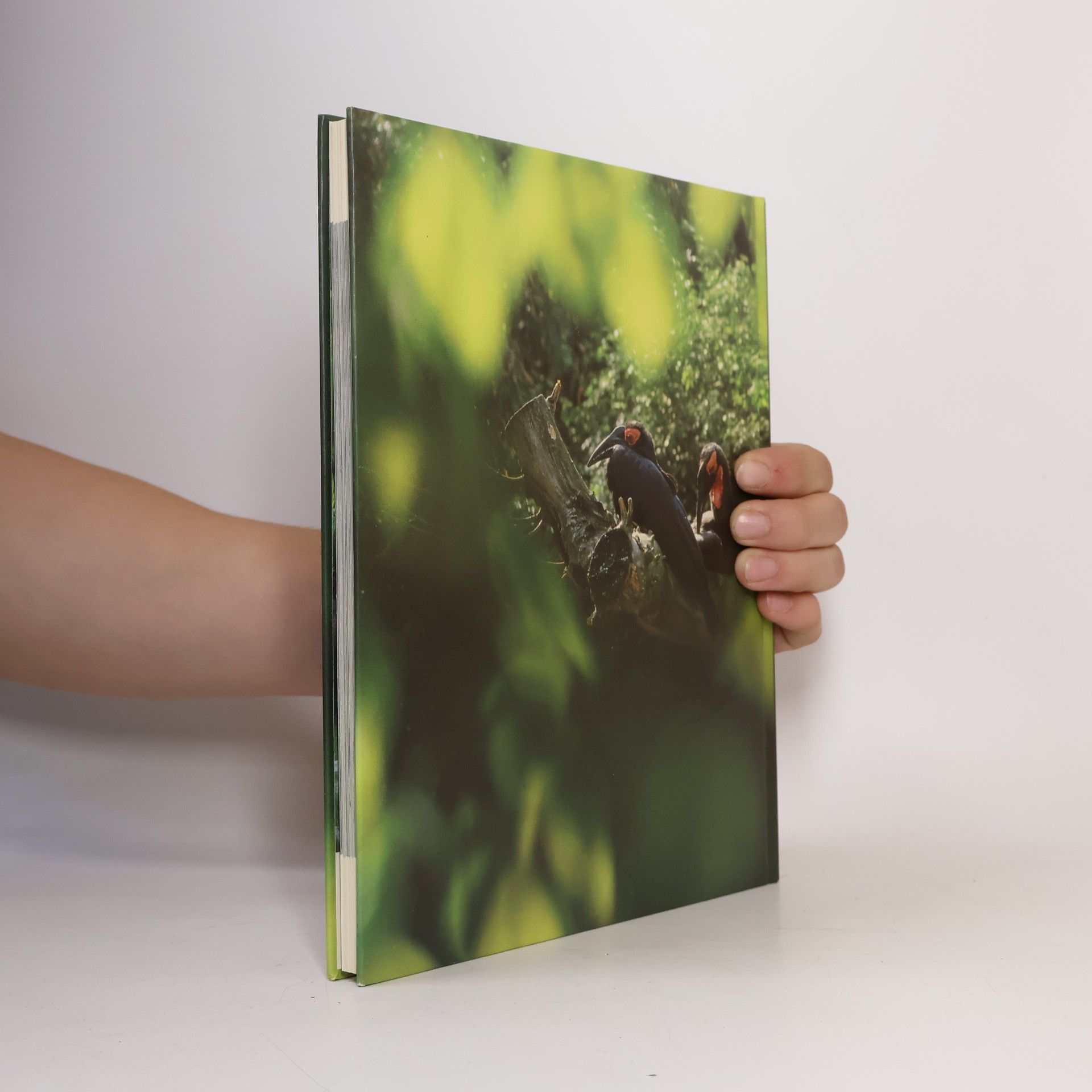 Various authors Zoo Basel 1-2