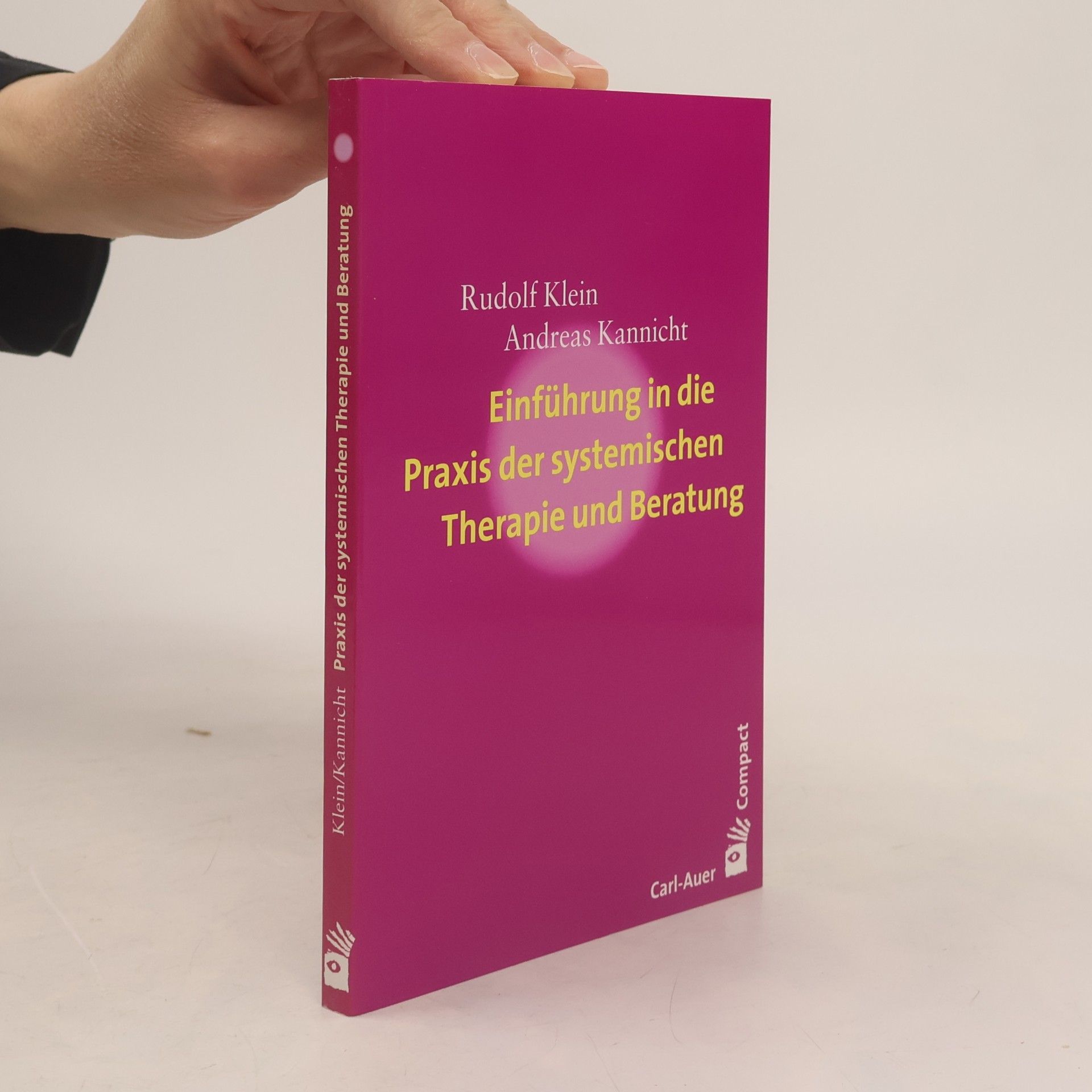 Rudolf Klein Einführung in die Praxis der systemischen Therapie und Beratung