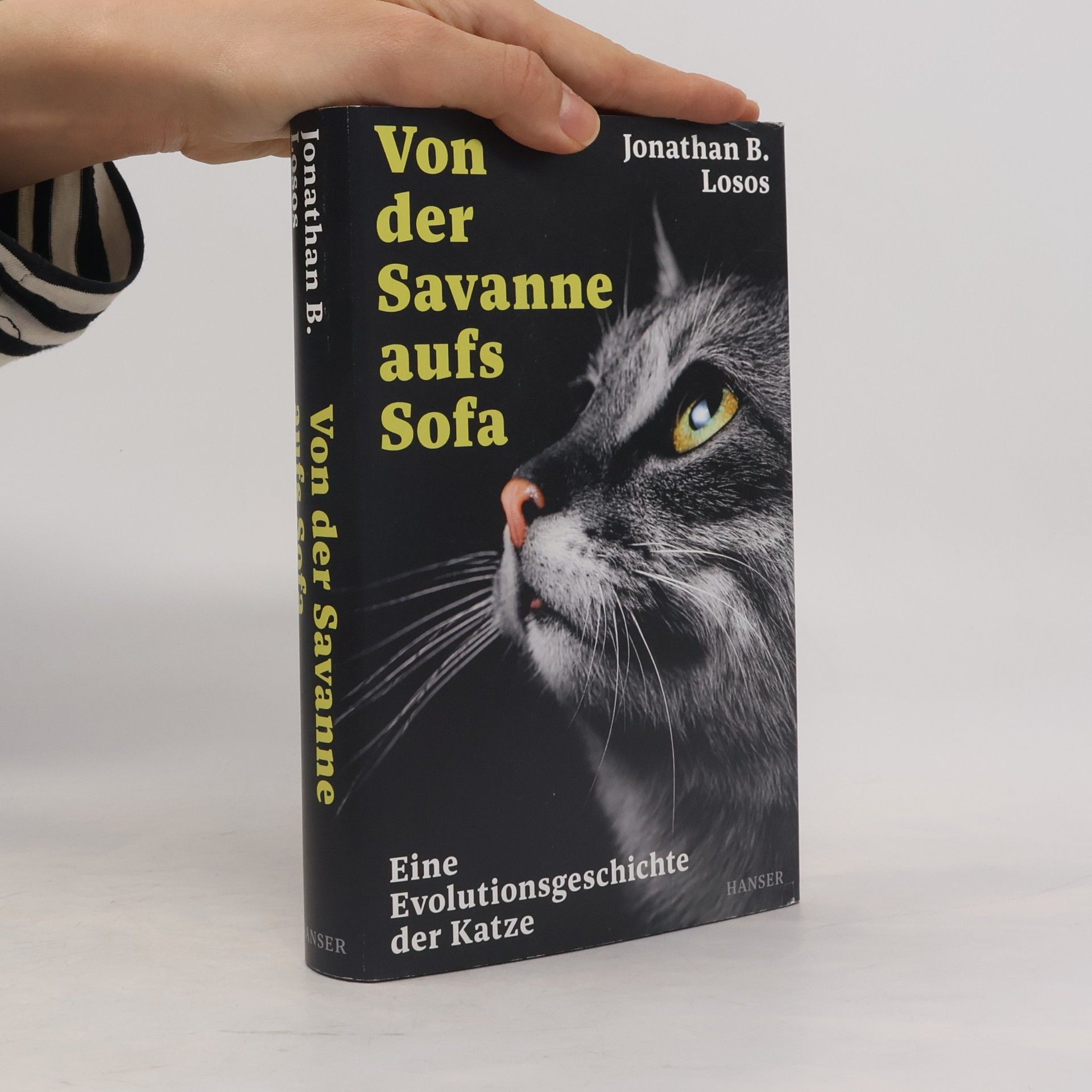 Von der Savanne aufs Sofa