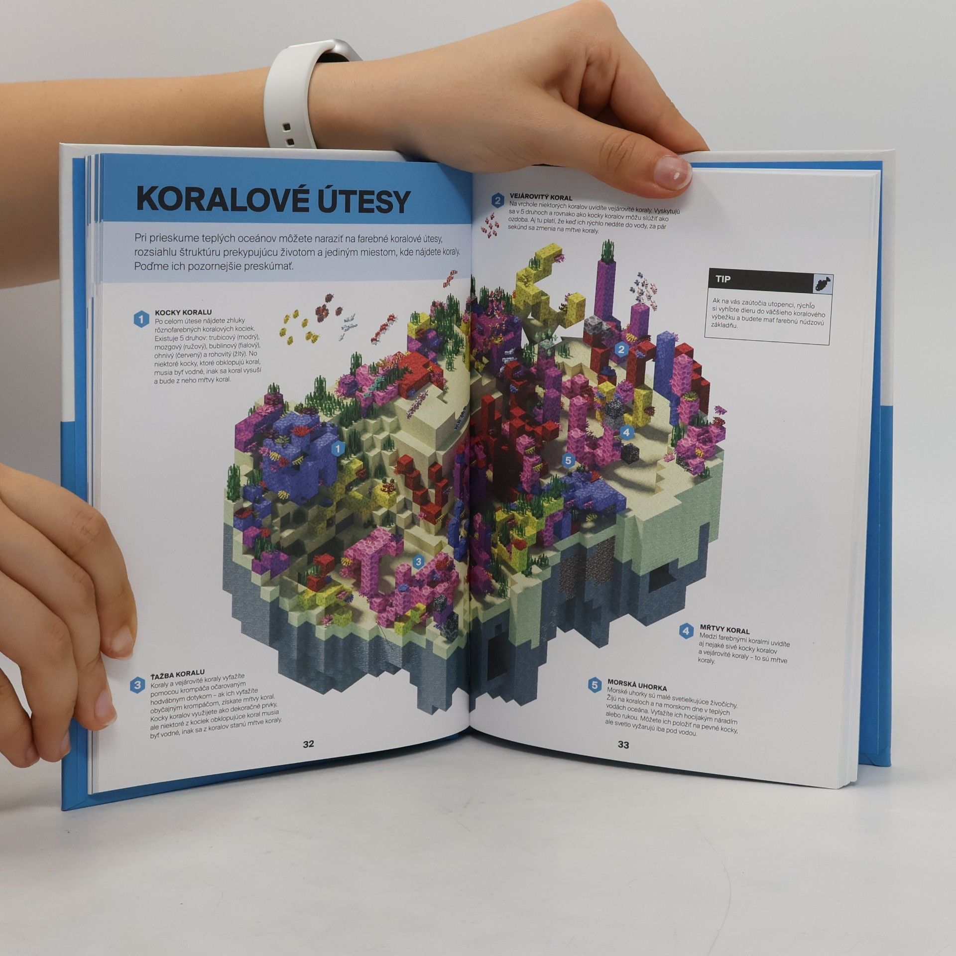 Kolektiv autorů Minecraft: Sprievodca prežitím v oceánoch