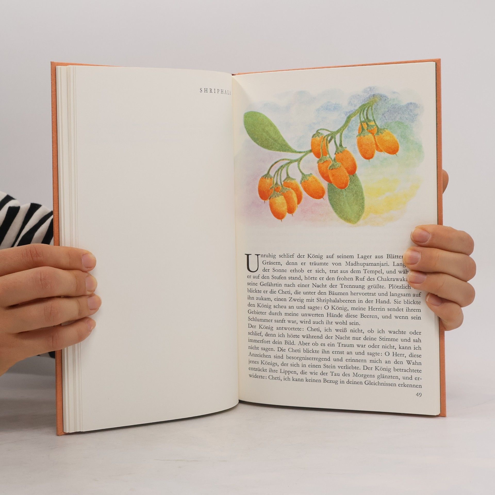 Usha R. Patel Der Blumenspiegel