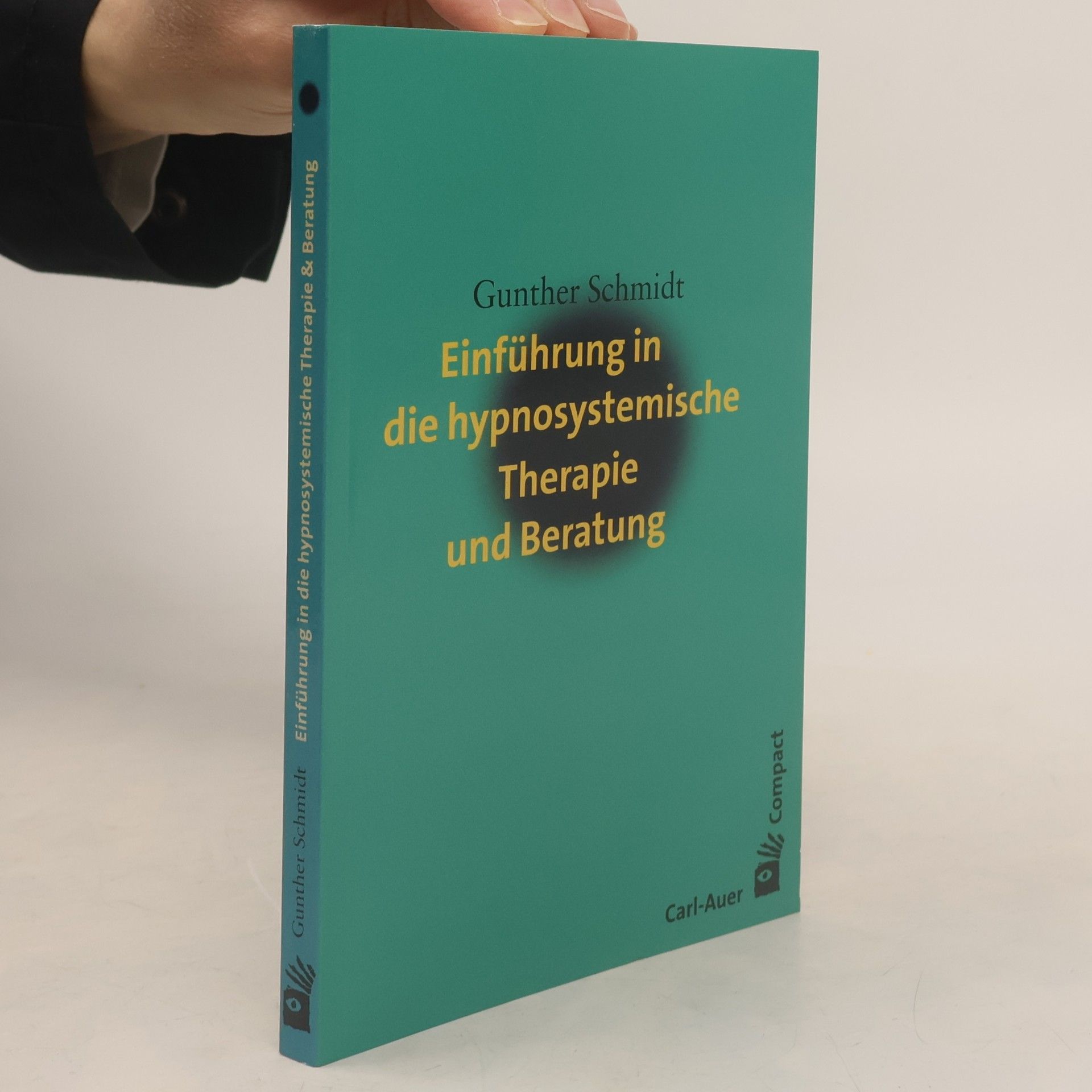 Einführung in die hypnosystemische Therapie und Beratung