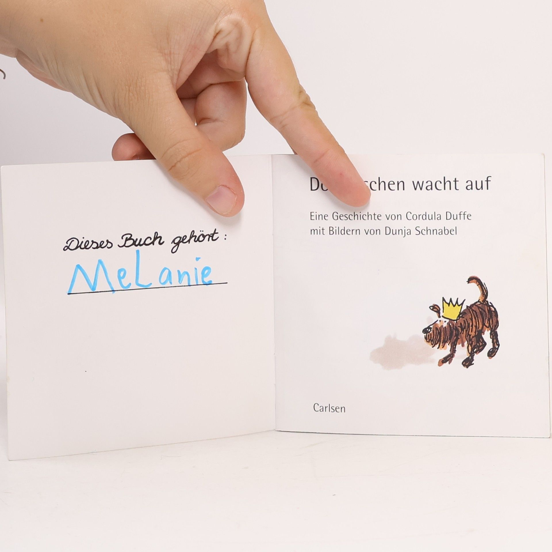 kolektiv Dornröschen wacht auf