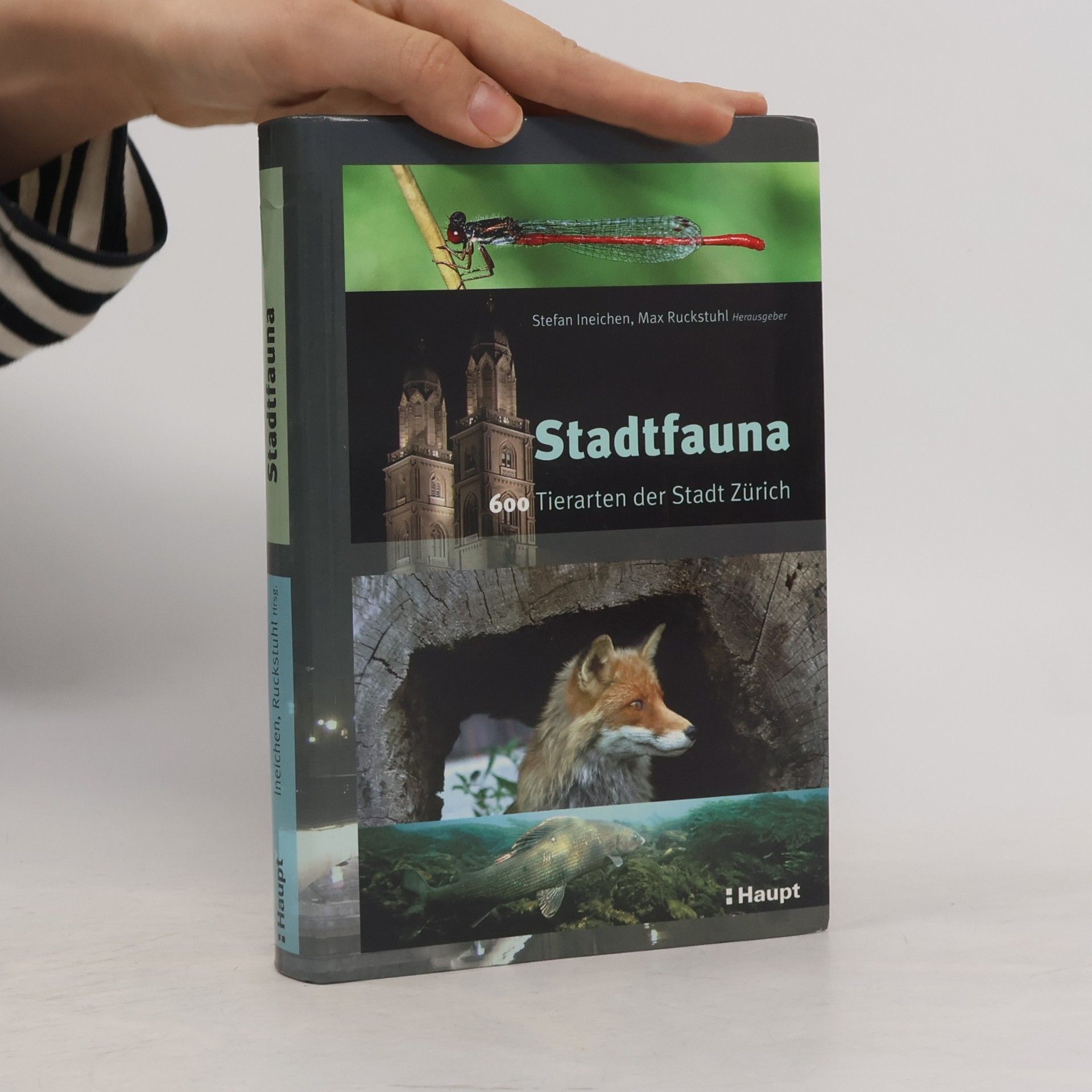 Max Ruckstuhl Stadtfauna