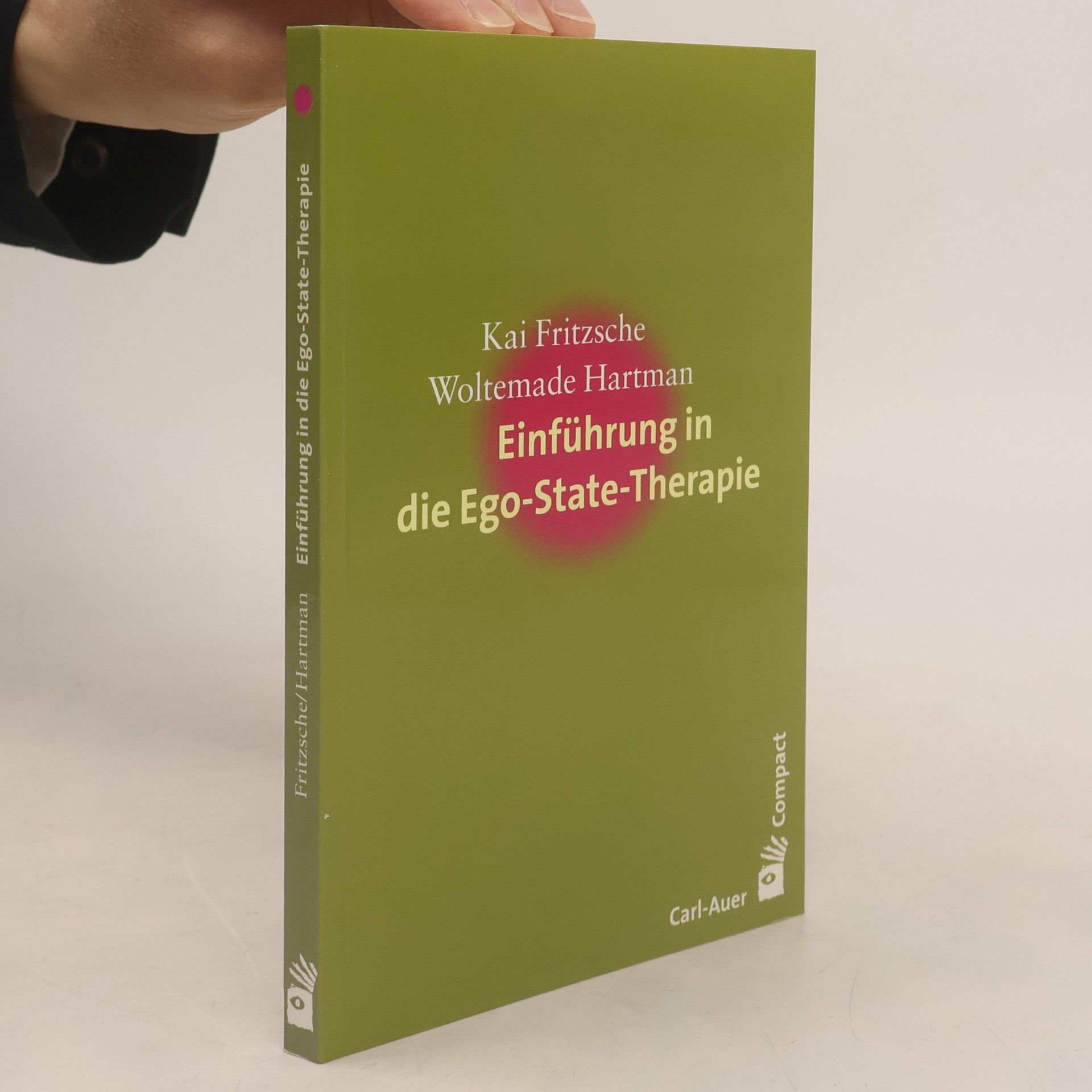 Kai Fritzsche Einführung in die Ego-State-Therapie