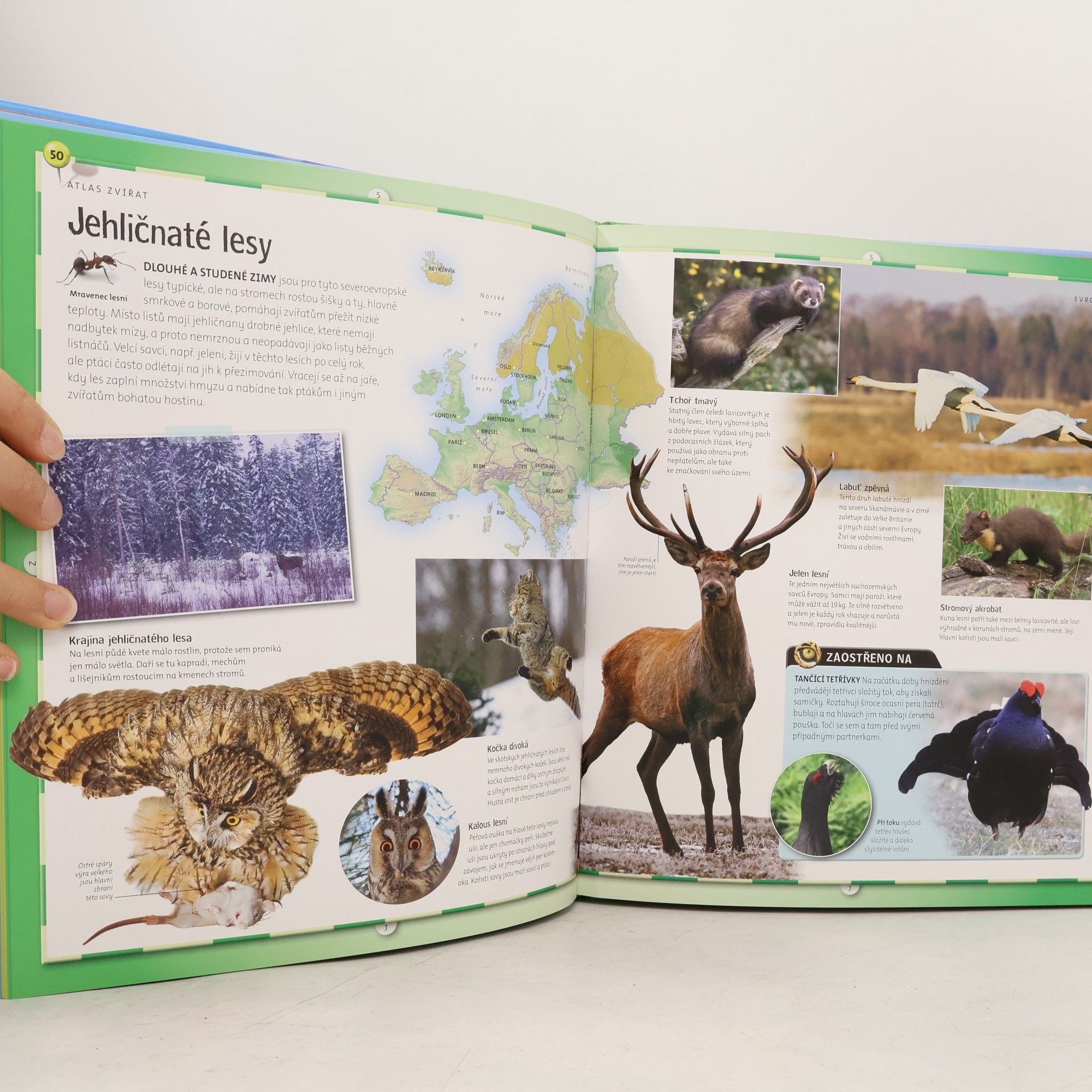 Jinny Johnson Atlas zvířat