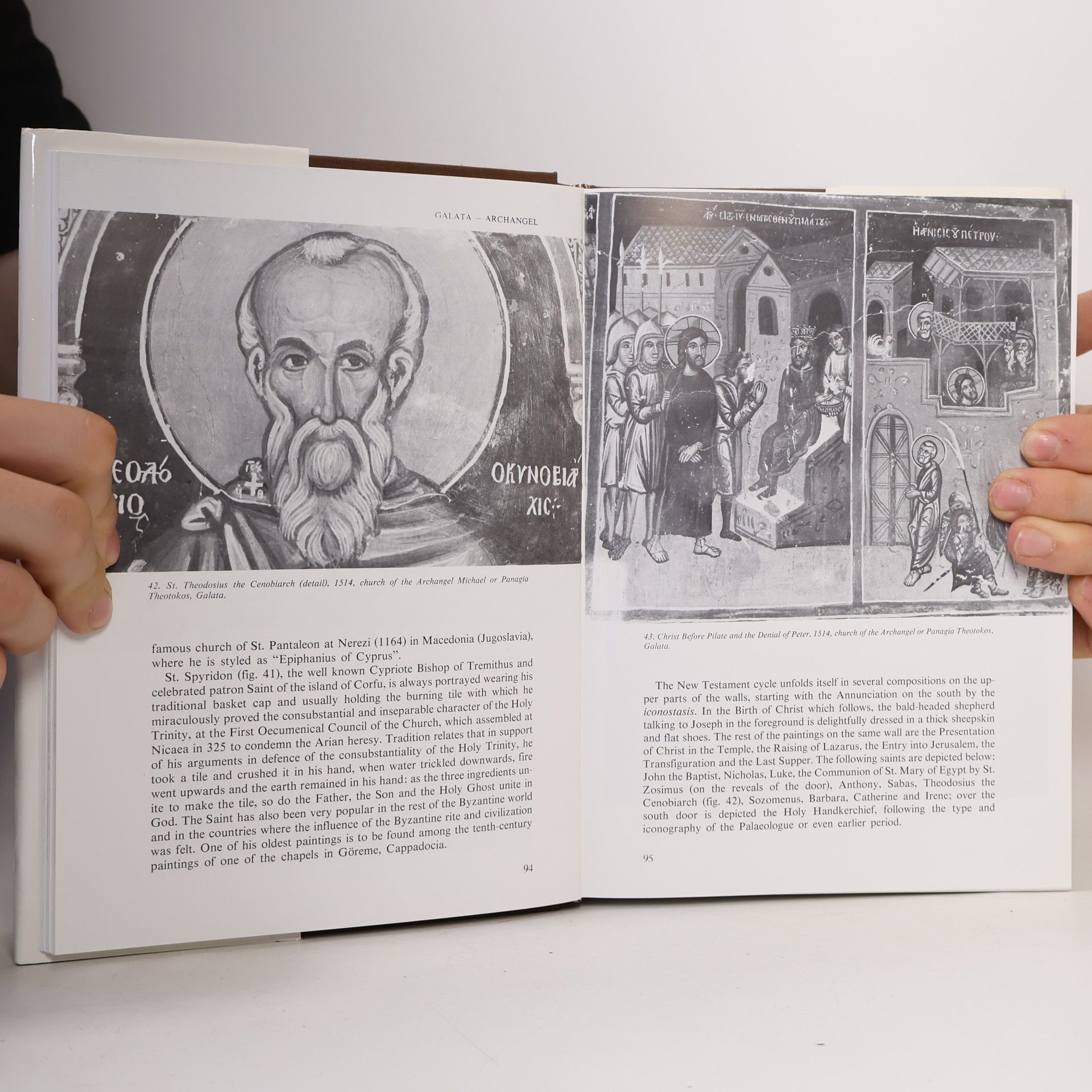 Andreas Stylianou The Painted Churches of Cyprus