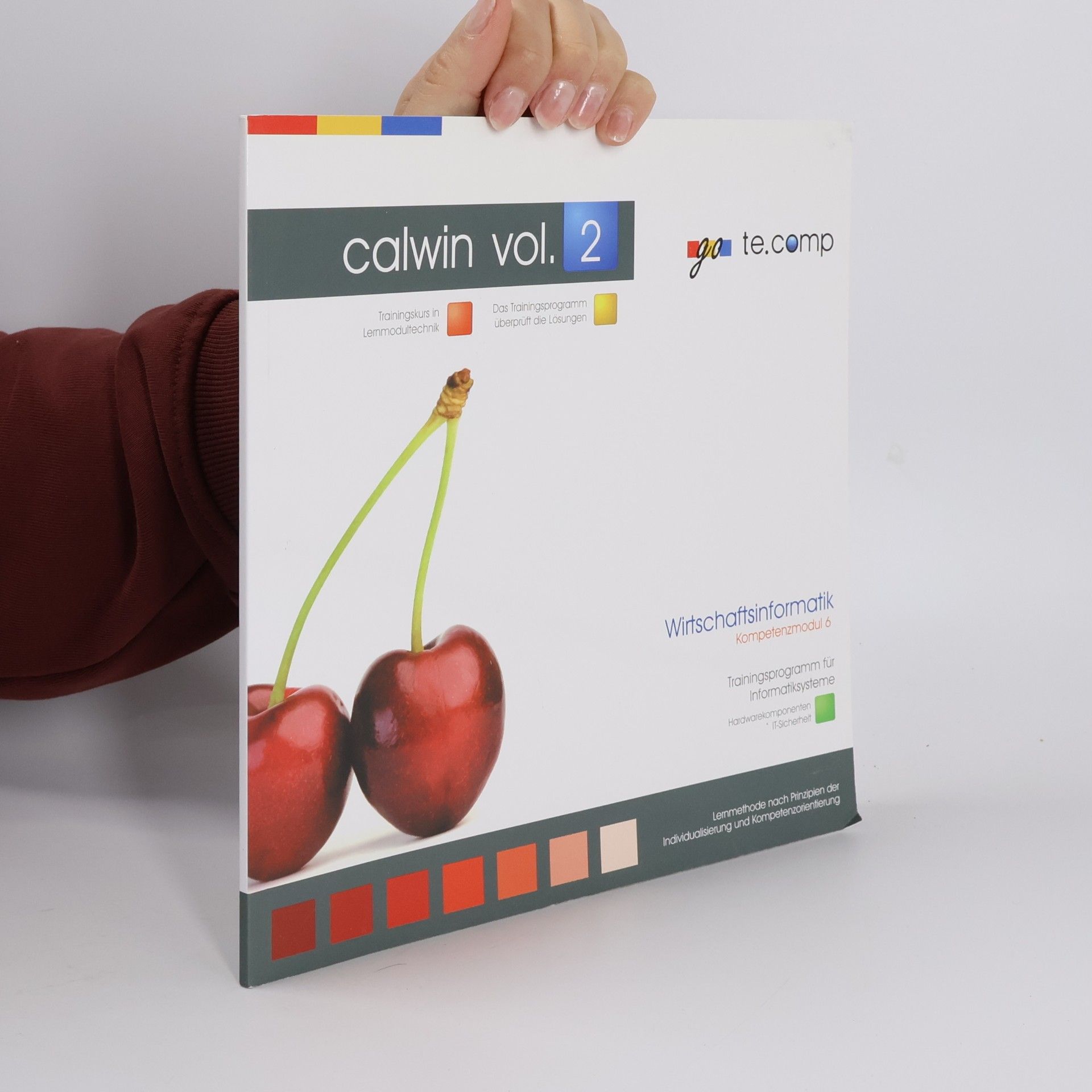 Christian Tassatti Calwin vol. 2. Wirtschaftsinformatik