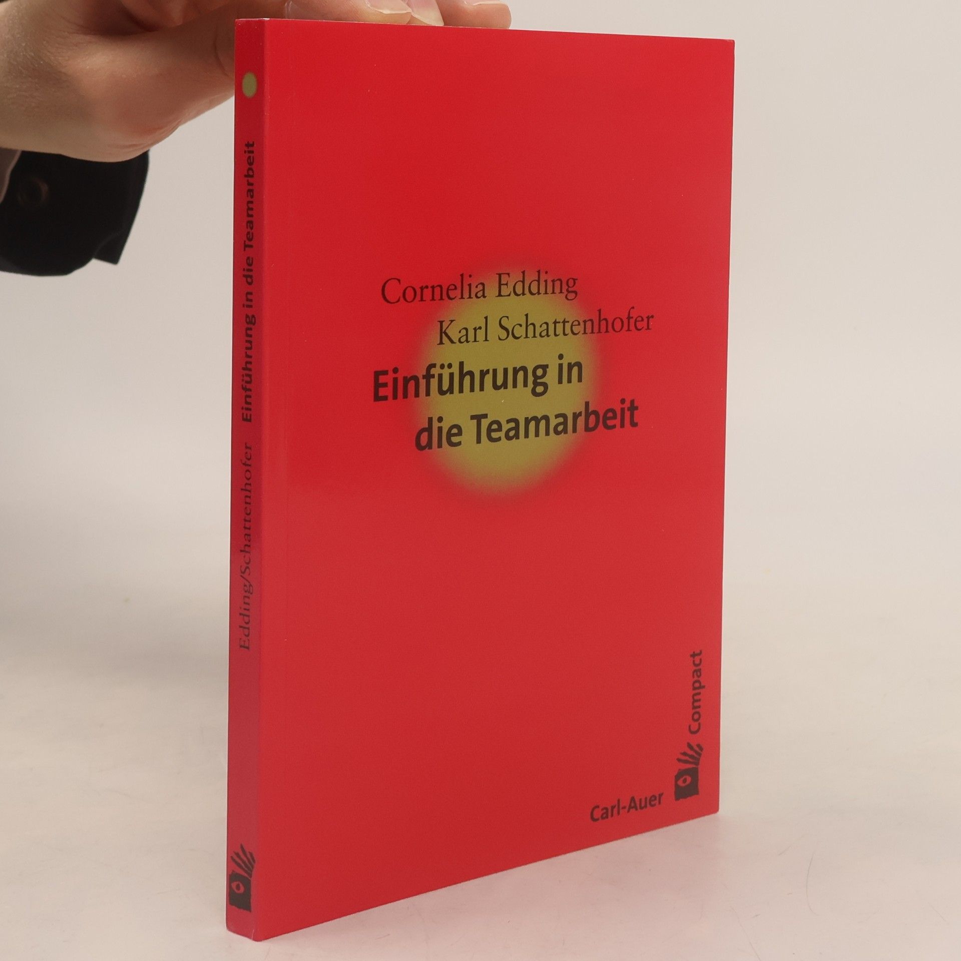Cornelia Edding Einführung in die Teamarbeit