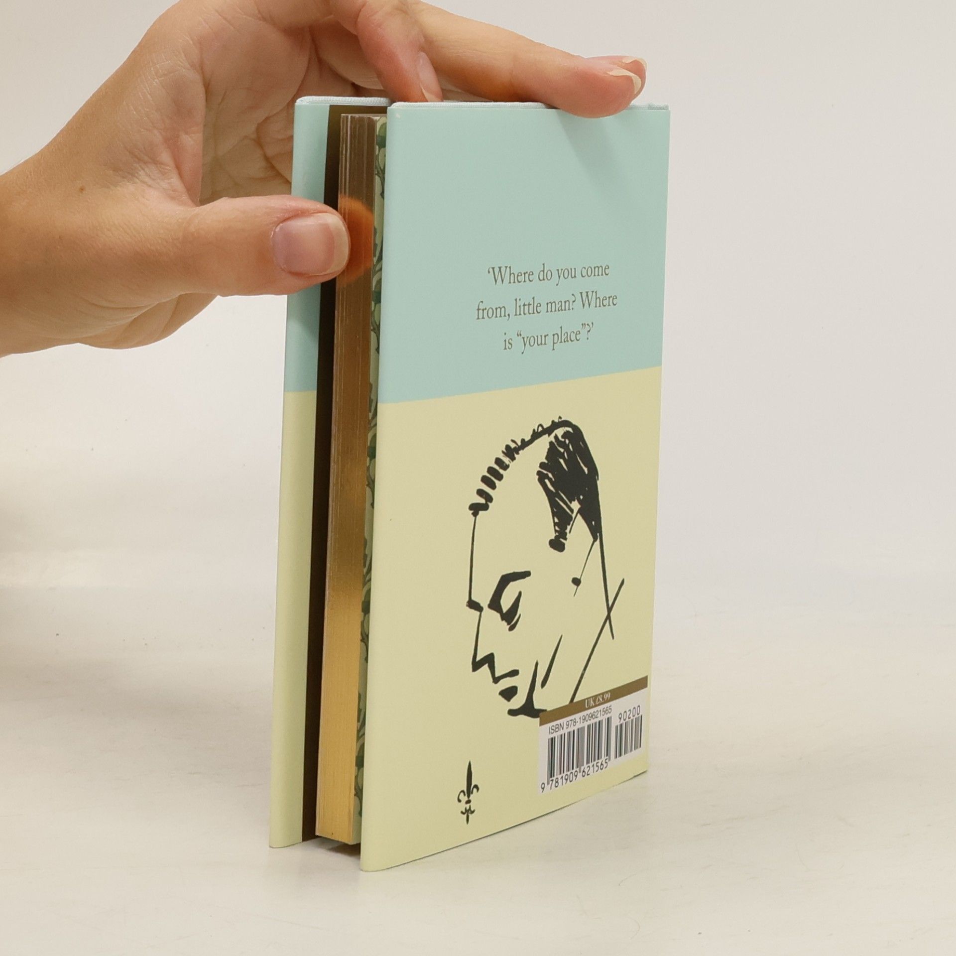 Antoine de Saint-Exupéry The Little Prince