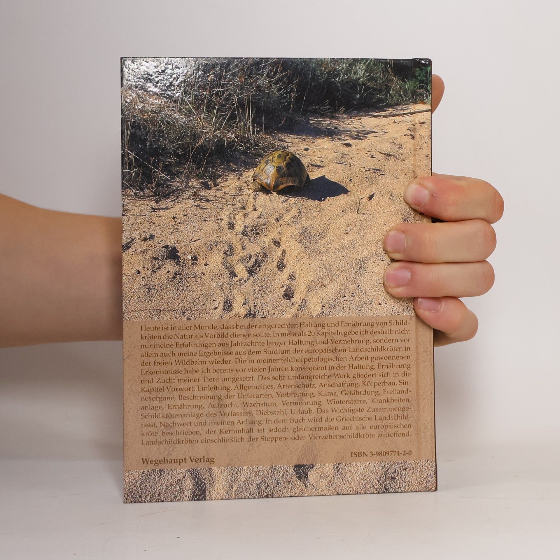 Wolfgang Wegehaupt Natürliche Haltung und Zucht der Griechischen Landschildkröte