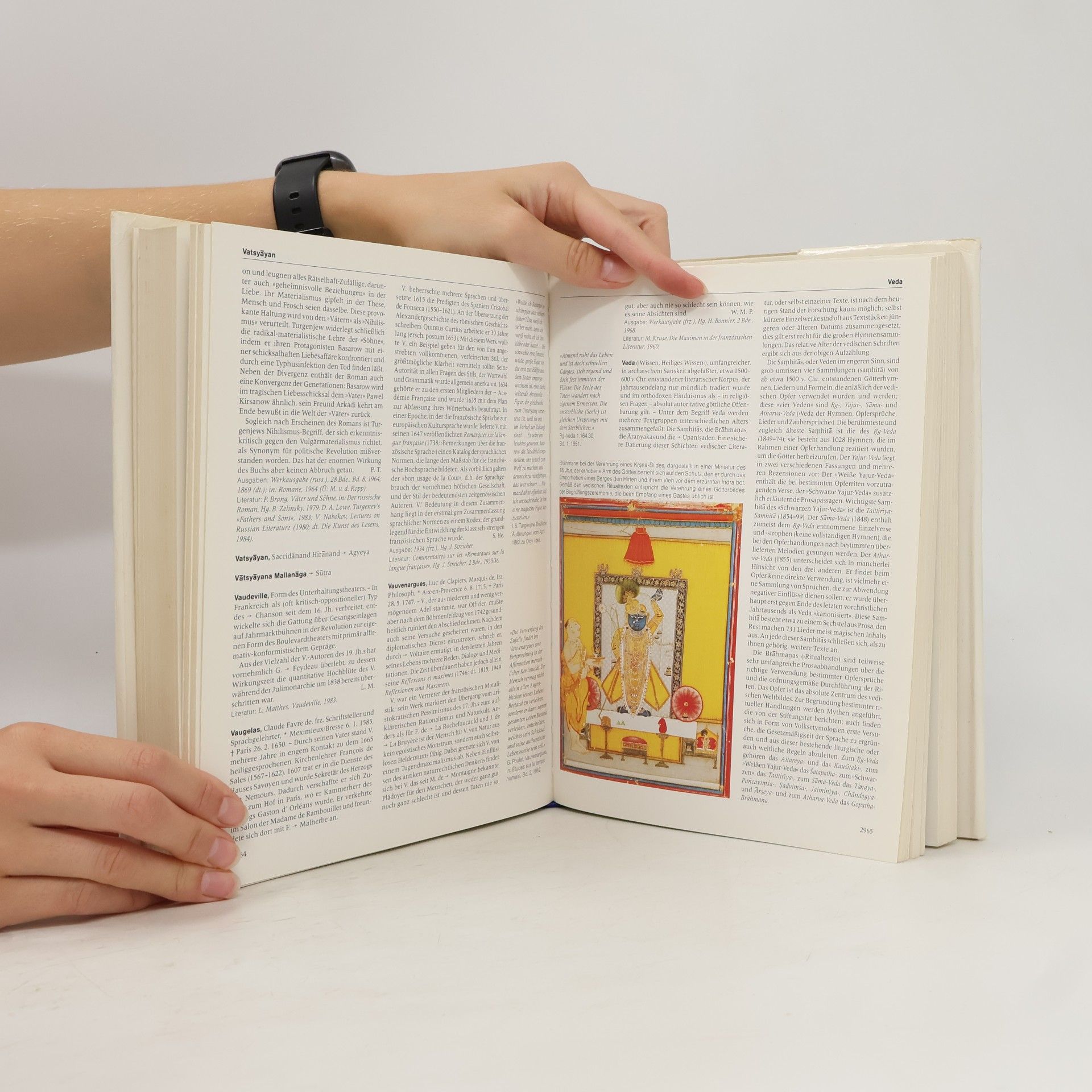 Autorenkollektiv Harenbergs Lexikon der Weltliteratur. Band 5. San-Z