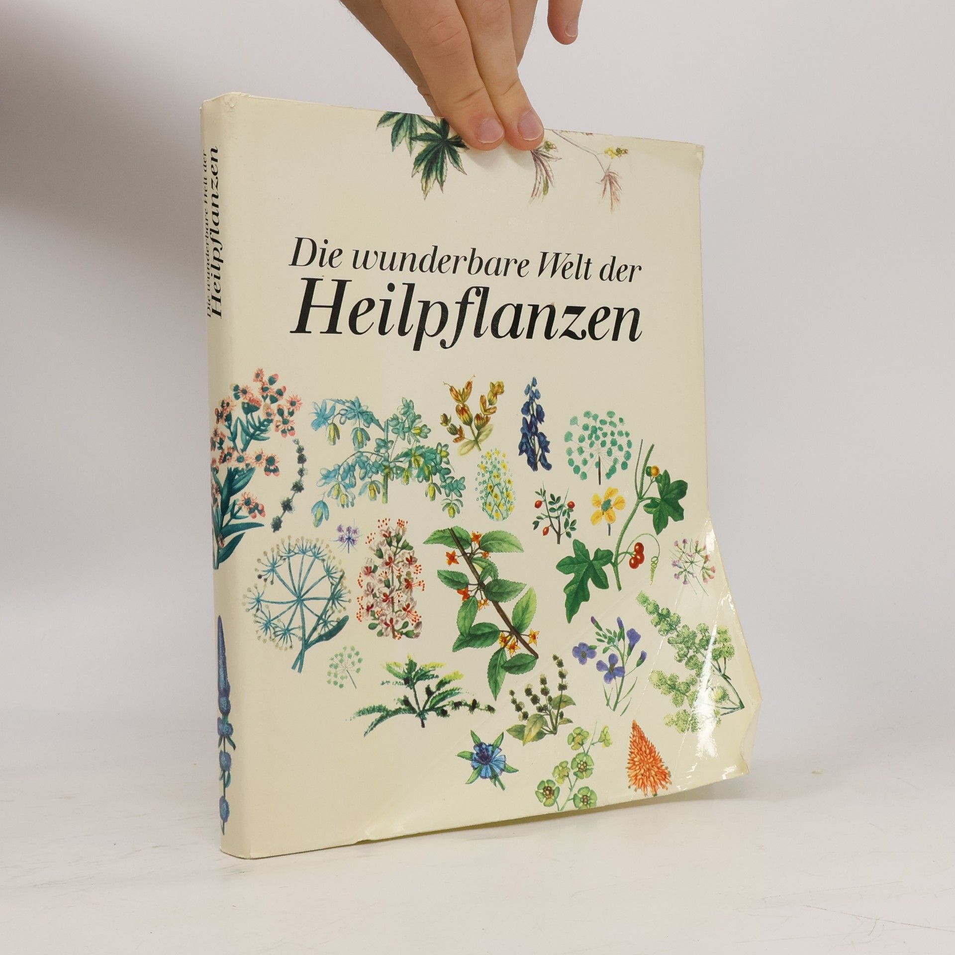 Autorenkollektiv Die wunderbare Welt der Heilpflanzen